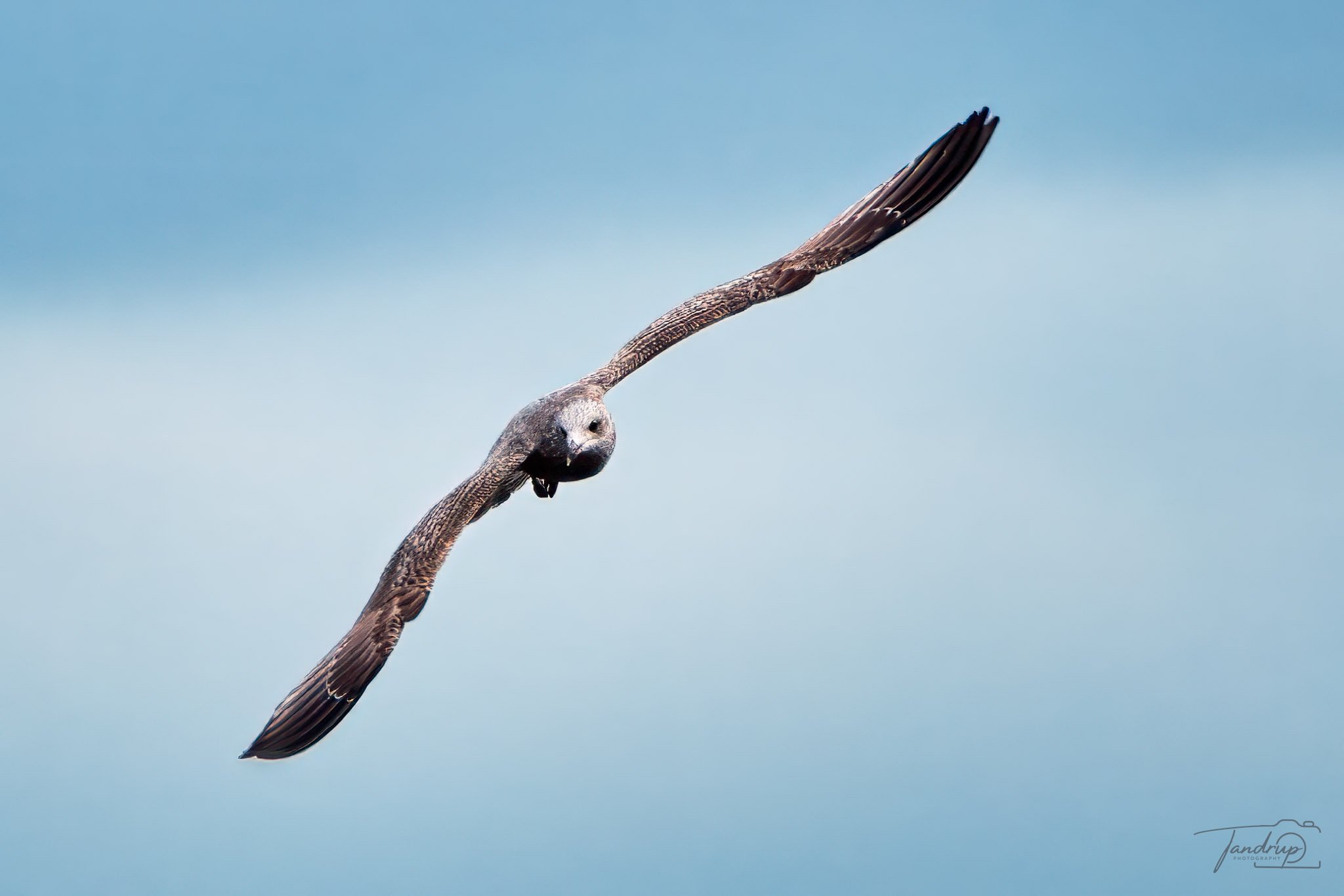 _DSF2182-20250302-DxO_DeepPRIME XD2s-Edit_2048x1365_H_100_Flickr  500px.jpg