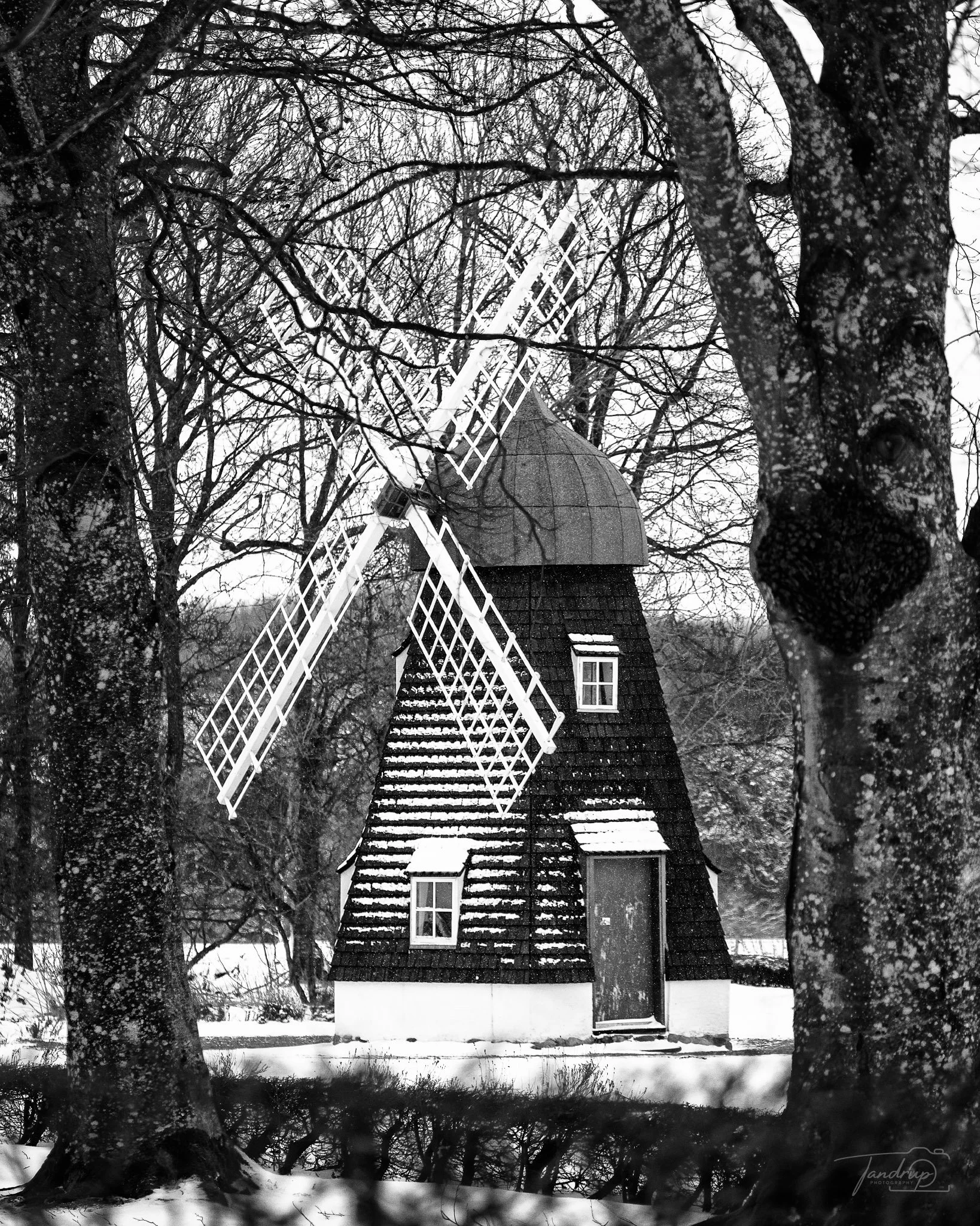 _DSF3747_Flickr  500px_1638x2048_H_100.jpg