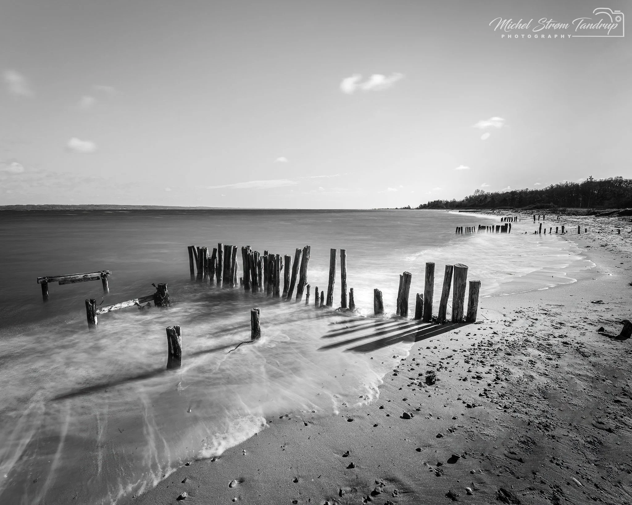 _DSF0758-RAF_DxO_DeepPRIME-Edit-Edit-Edit._2048 long edge_2048x1638_U_100.jpg