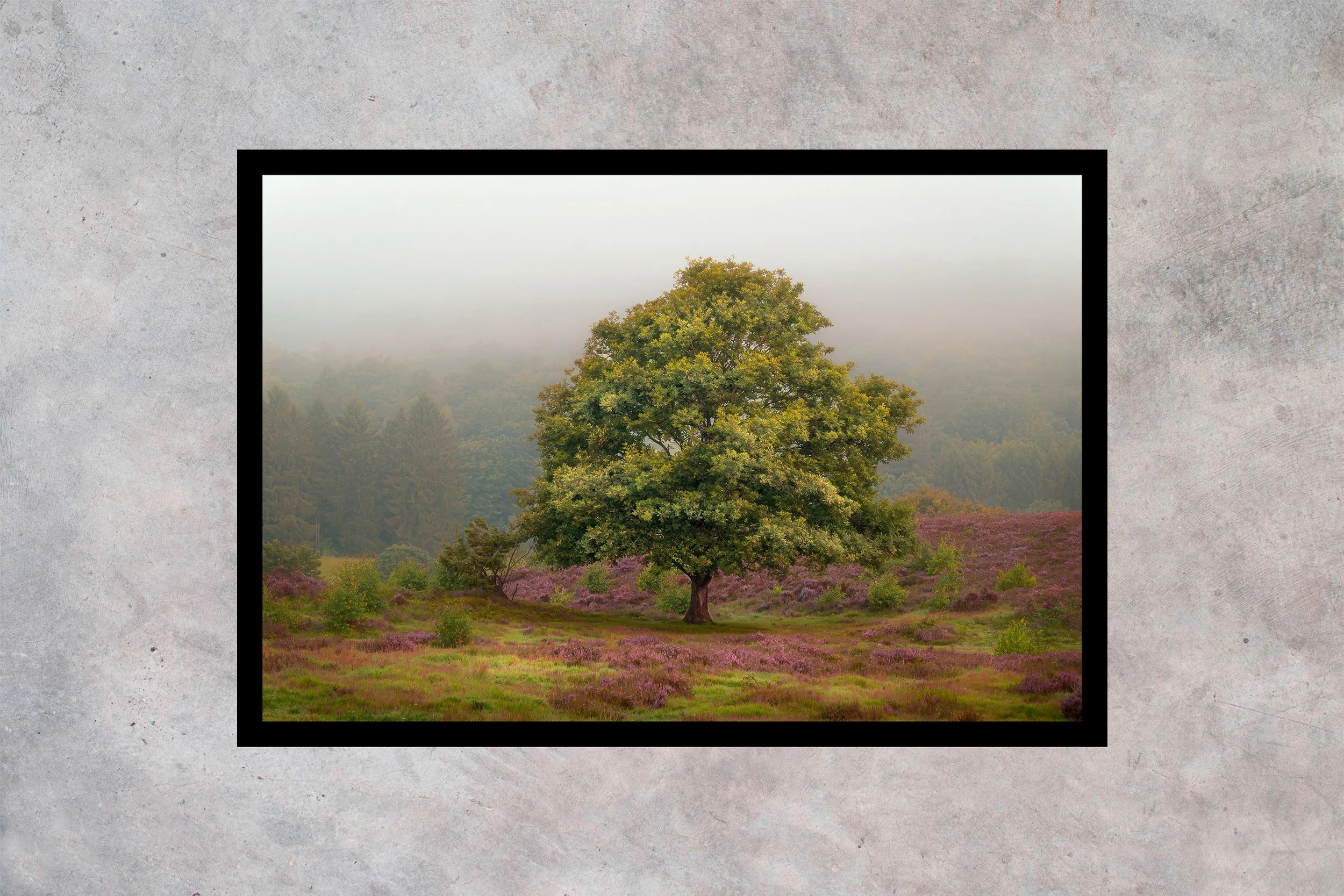 Efterårsdis ved Dollerup Bakker - Produkt Ramme u passepartout 2-3 Horisontal.jpg