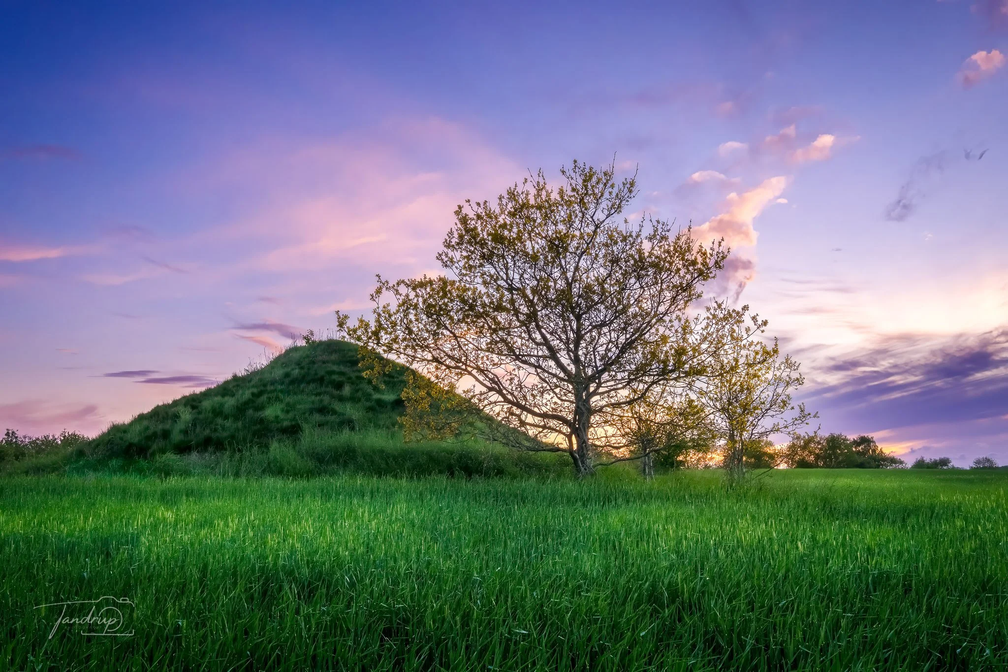 Gravhøjen Vinde - Sharpen.jpg