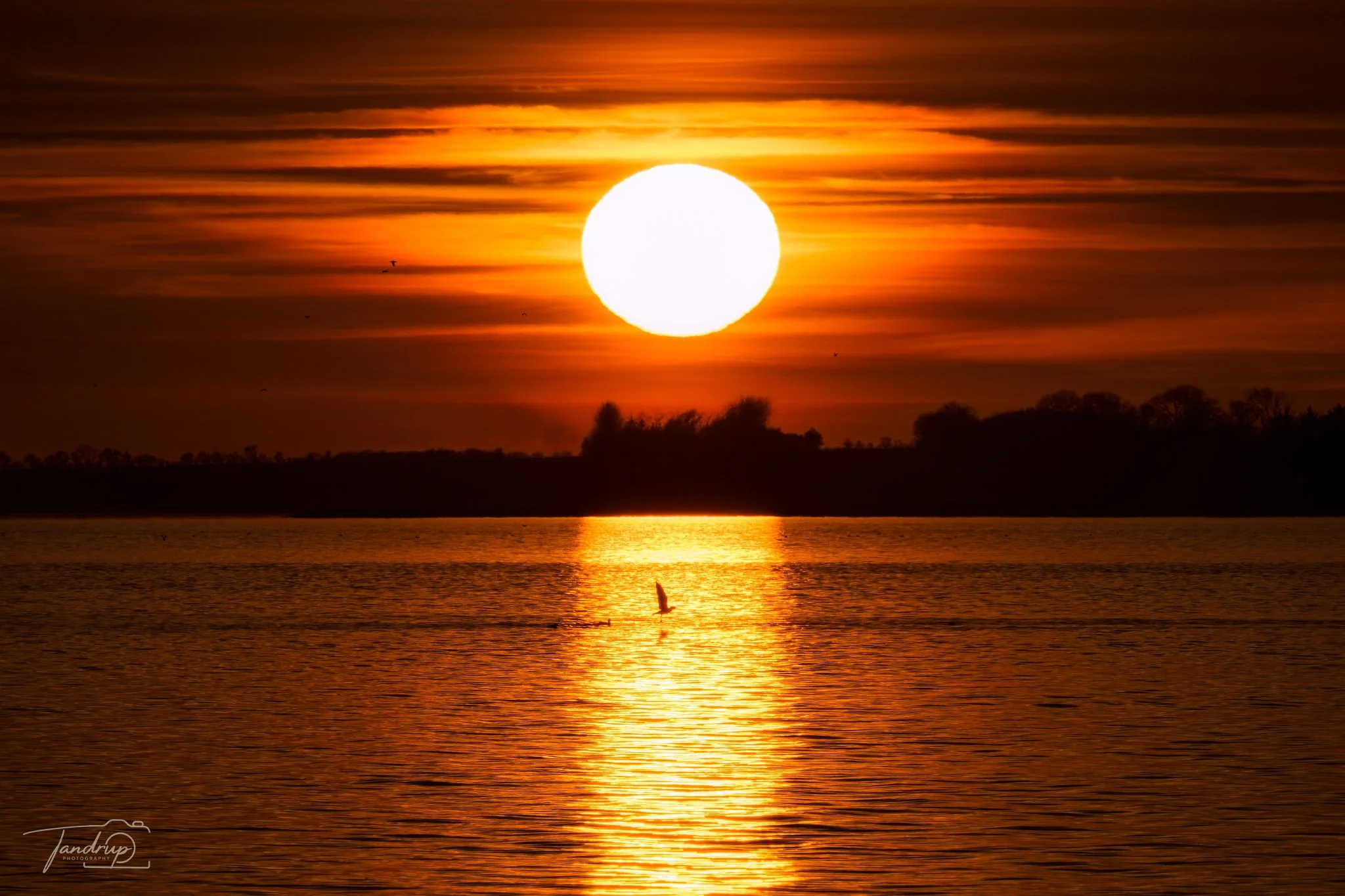 _DSF3592-20250401-DxO_DeepPRIME XD2s-Edit_2048x1365_H_100_Flickr  500px.jpg