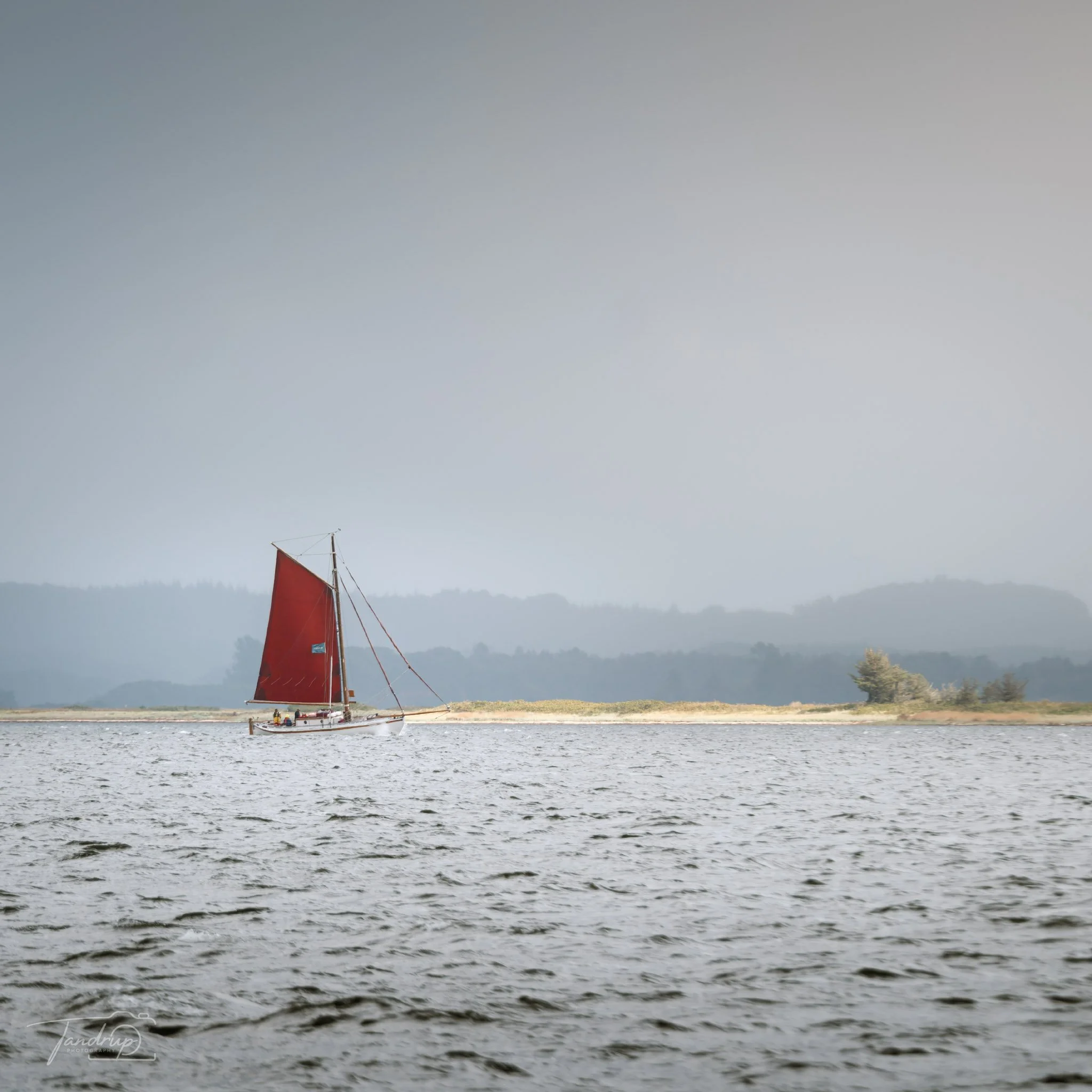 _DSF2448-DxO_DeepPRIME 3_Flickr  500px_2048x2048_H_100.jpg