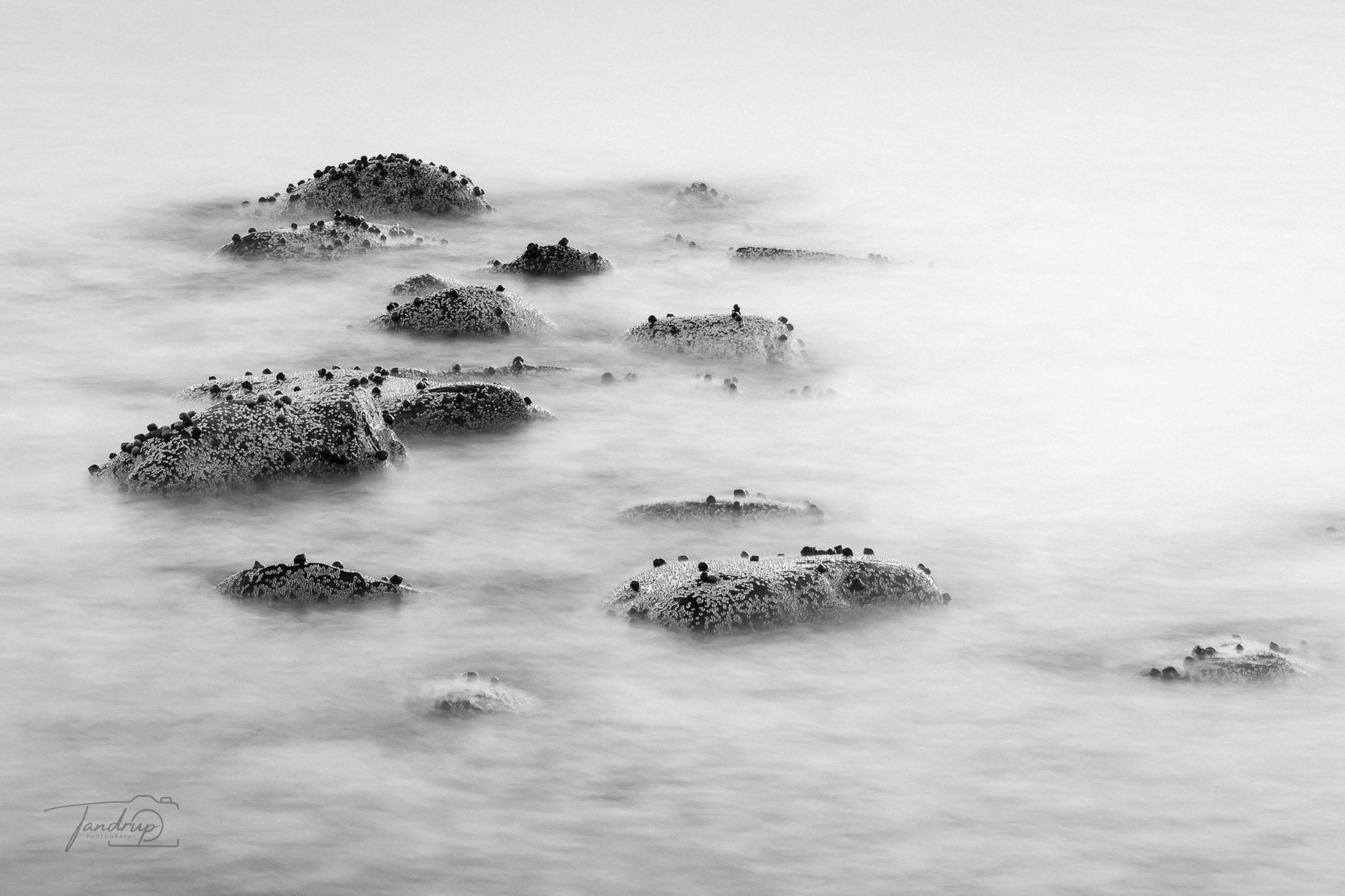 _DSF3213-RAF-DxO_DeepPRIME XD2-HDR.jpg