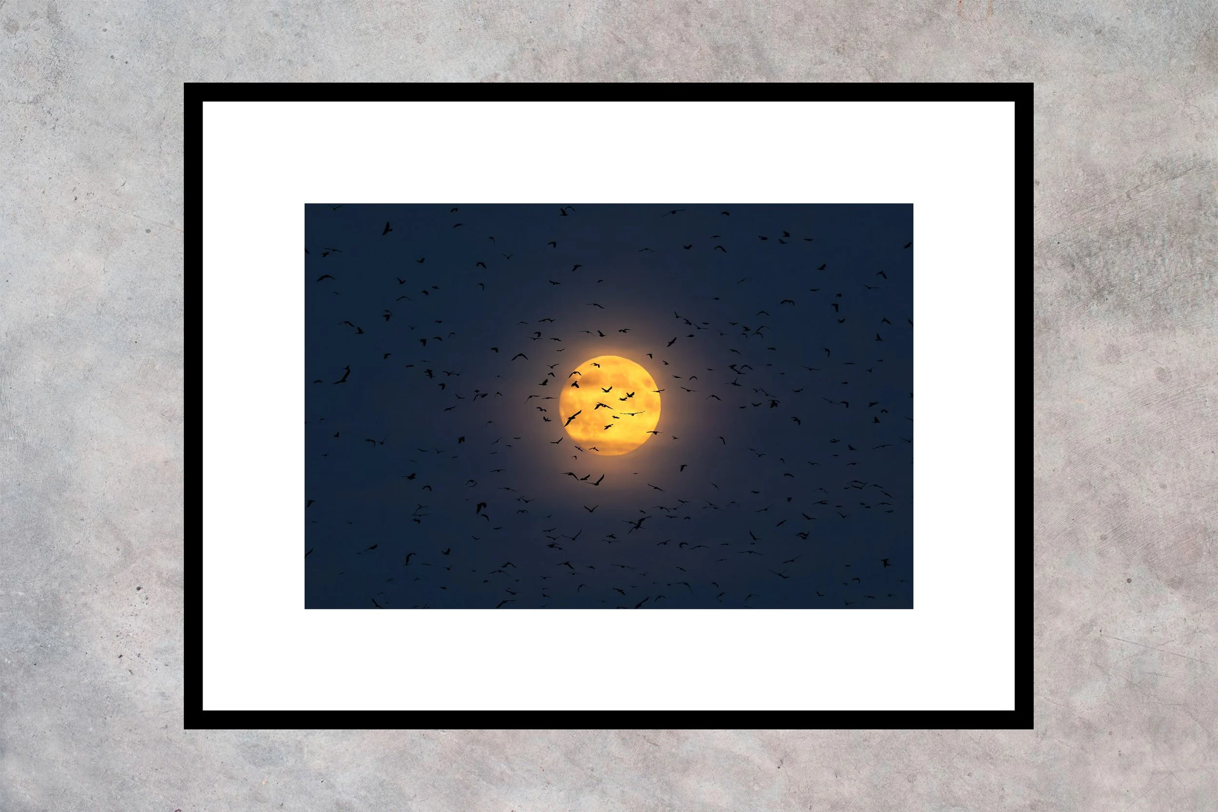 Supermåne og Råger