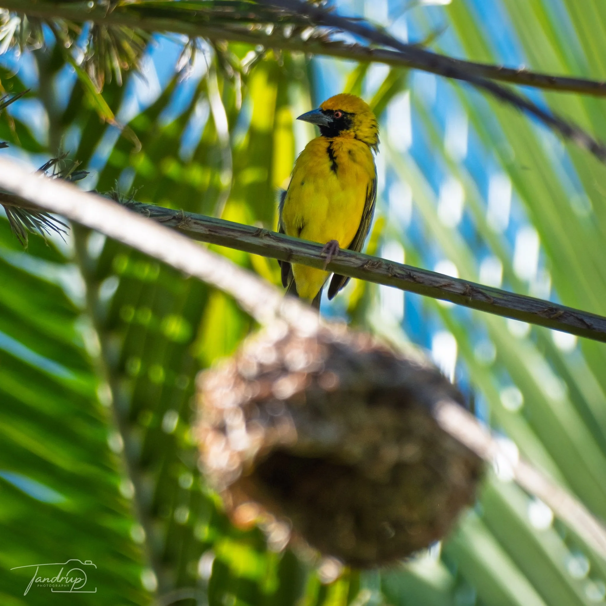 _DSF6901_2048x2048_H_100_Flickr  500px.jpg