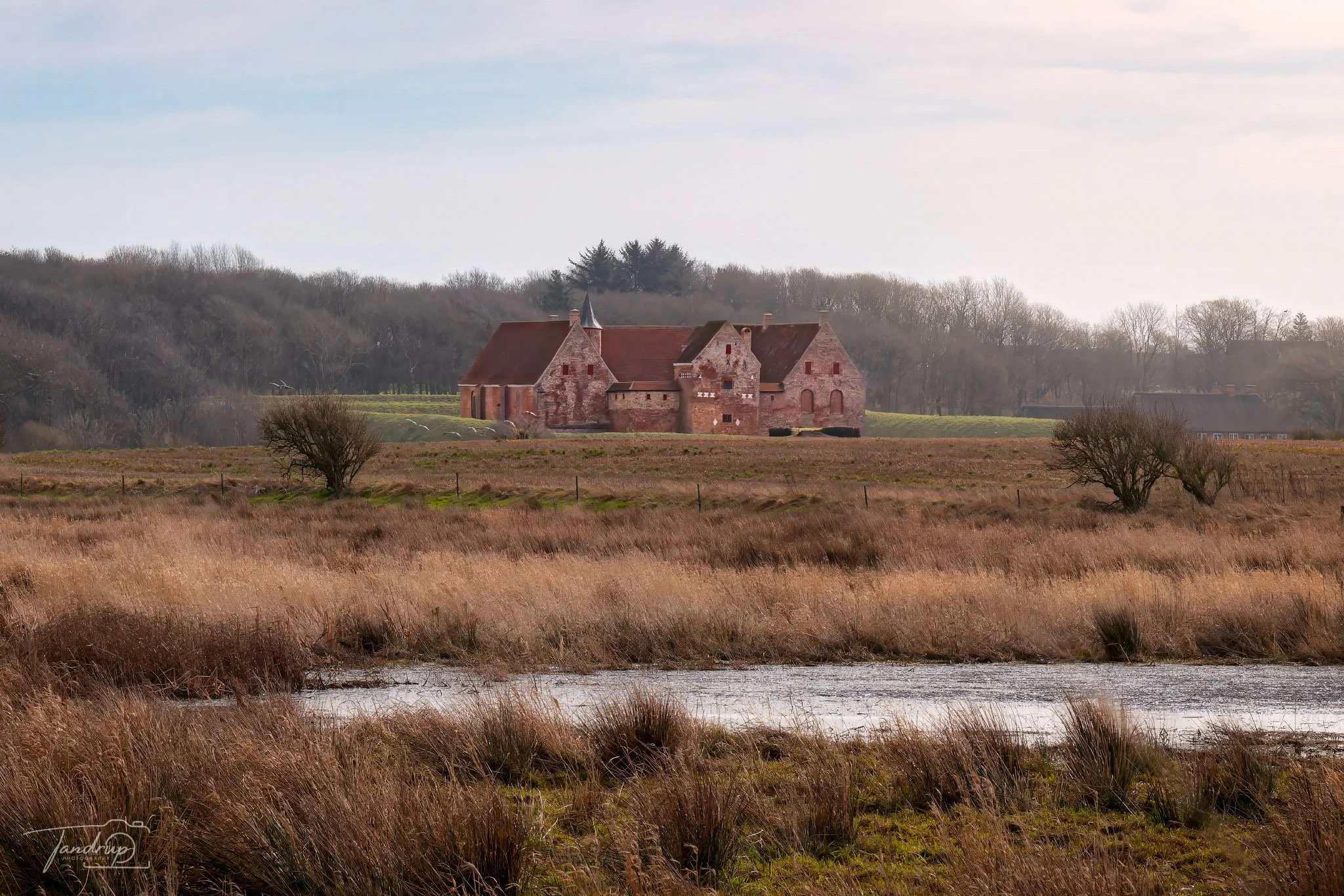 _DSF1964-20250302-DxO_DeepPRIME XD2s-Edit_2048x1365_H_100_Flickr  500px.jpg