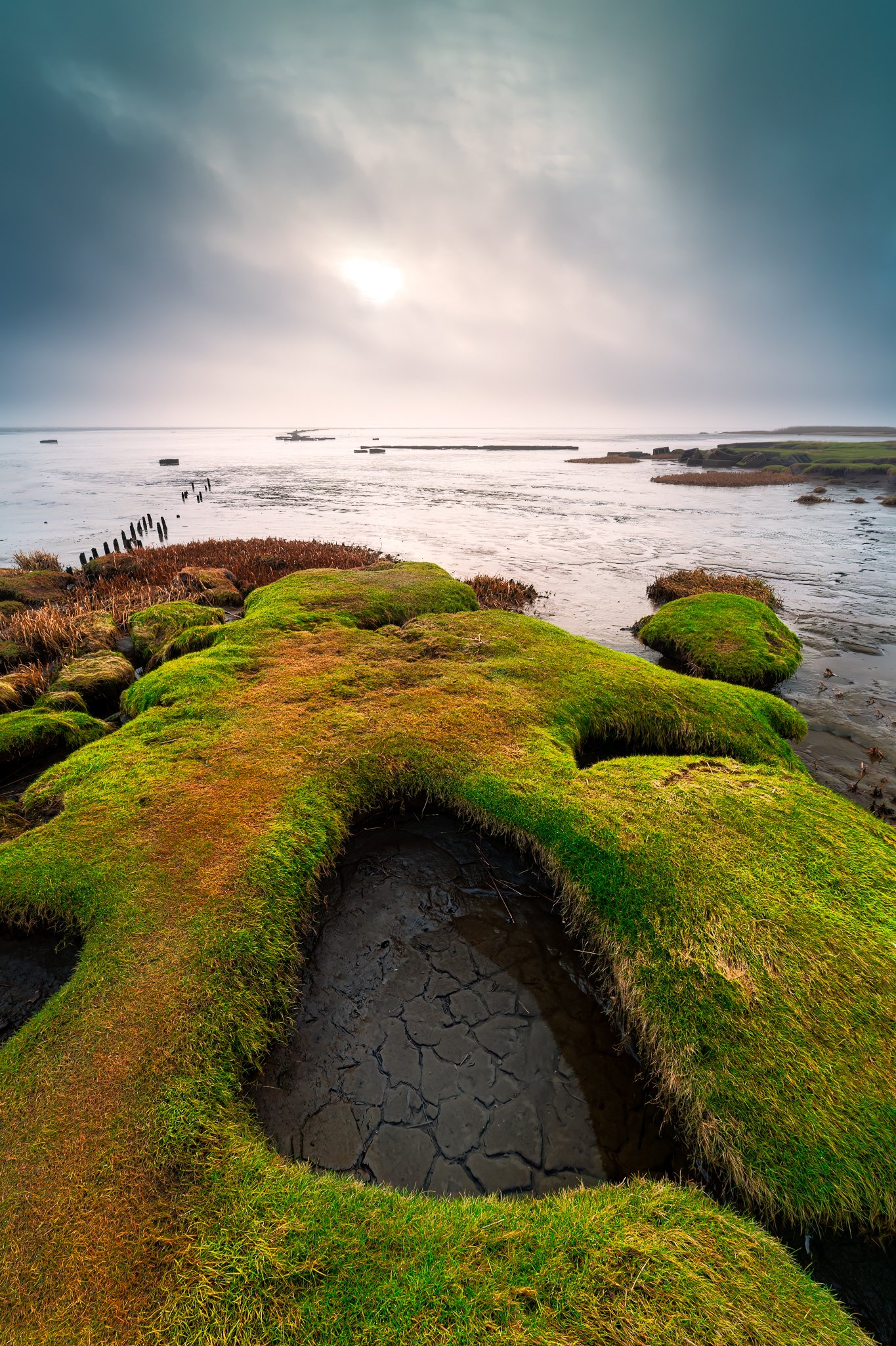 _DSF0039-RAF_DxO_DeepPRIME-Edit_2048 long edge_1365x2048_U_100.jpg