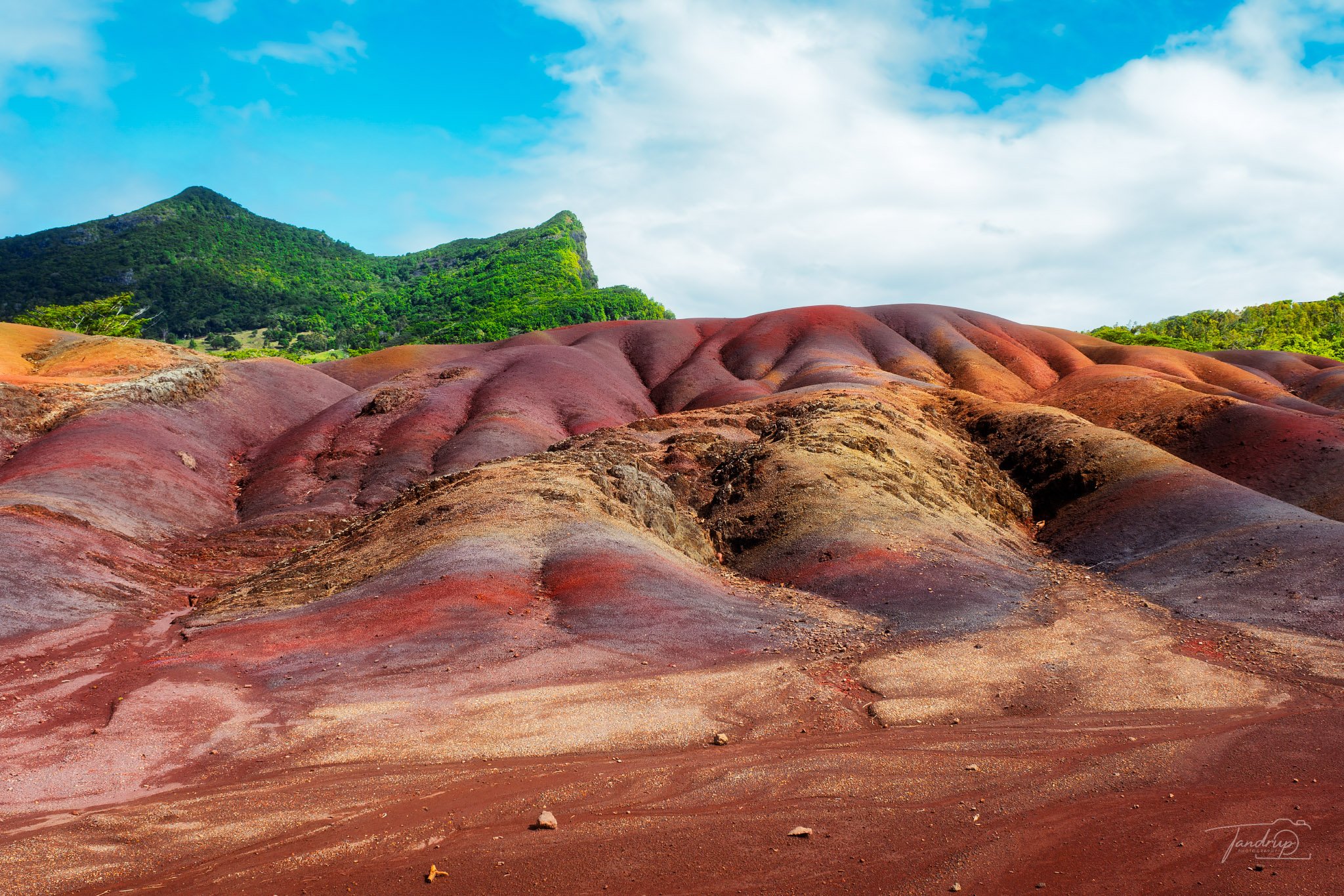 _DSF7187-20250531-DxO_DeepPRIME XD2s_Flickr  500px_2048x1365_H_100.jpg