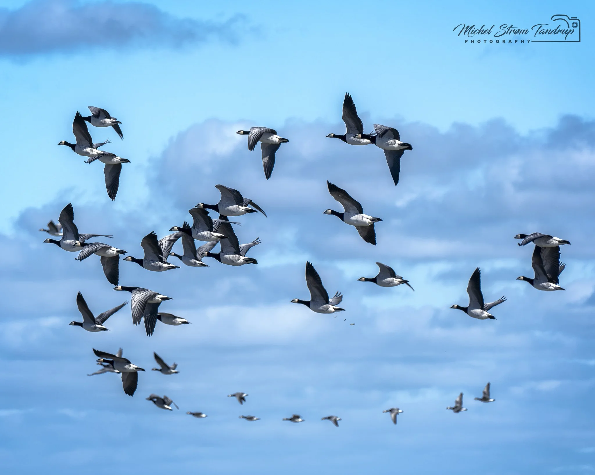 _DSF0405-RAF_DxO_DeepPRIME-2-Edit_2048 long edge_2048x1638_U_100.jpg