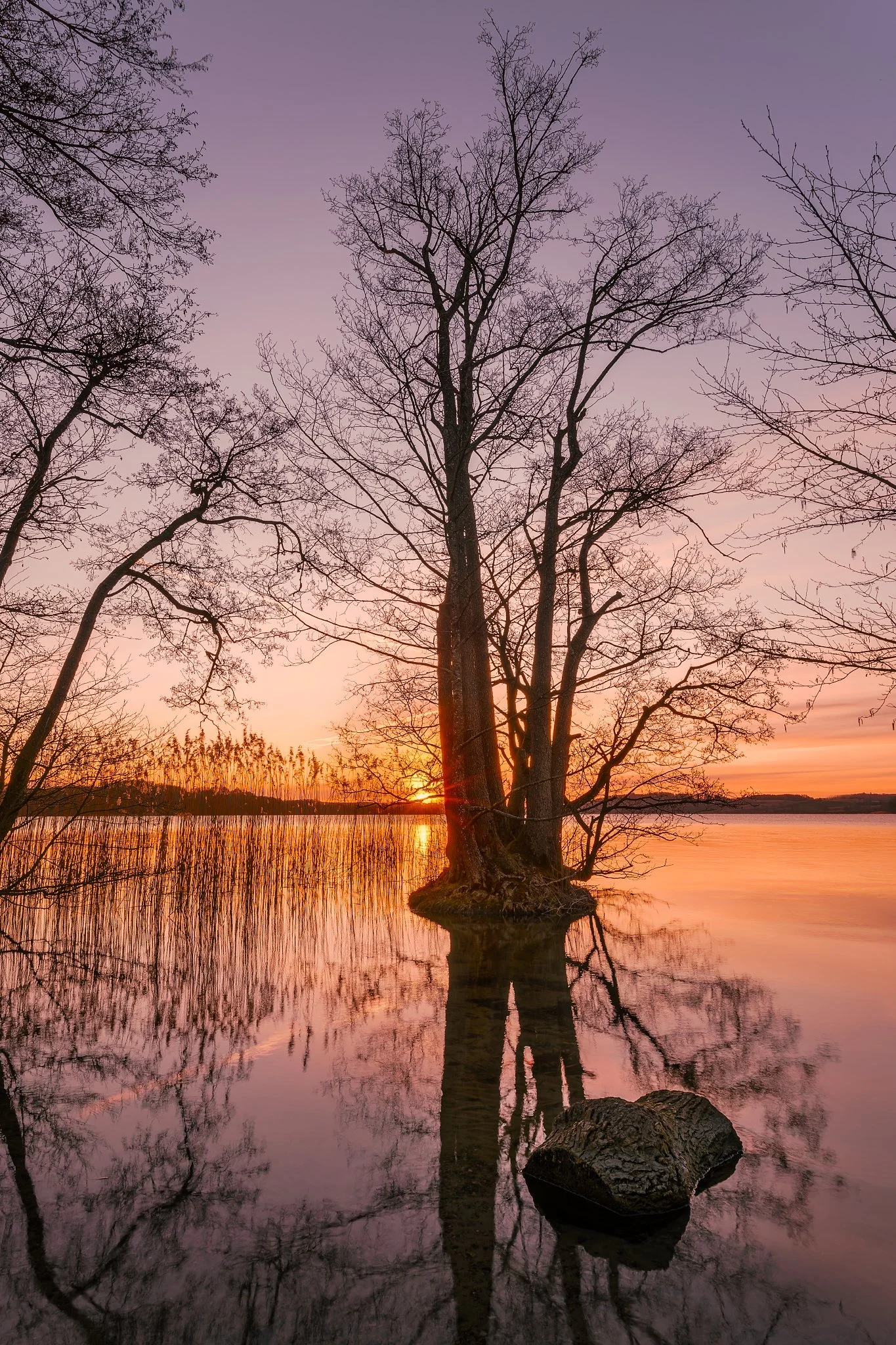 _DSF0482-RAF_DxO_DeepPRIME-Edit-Edit._2048 long edge_1365x2048_U_100-2.jpg