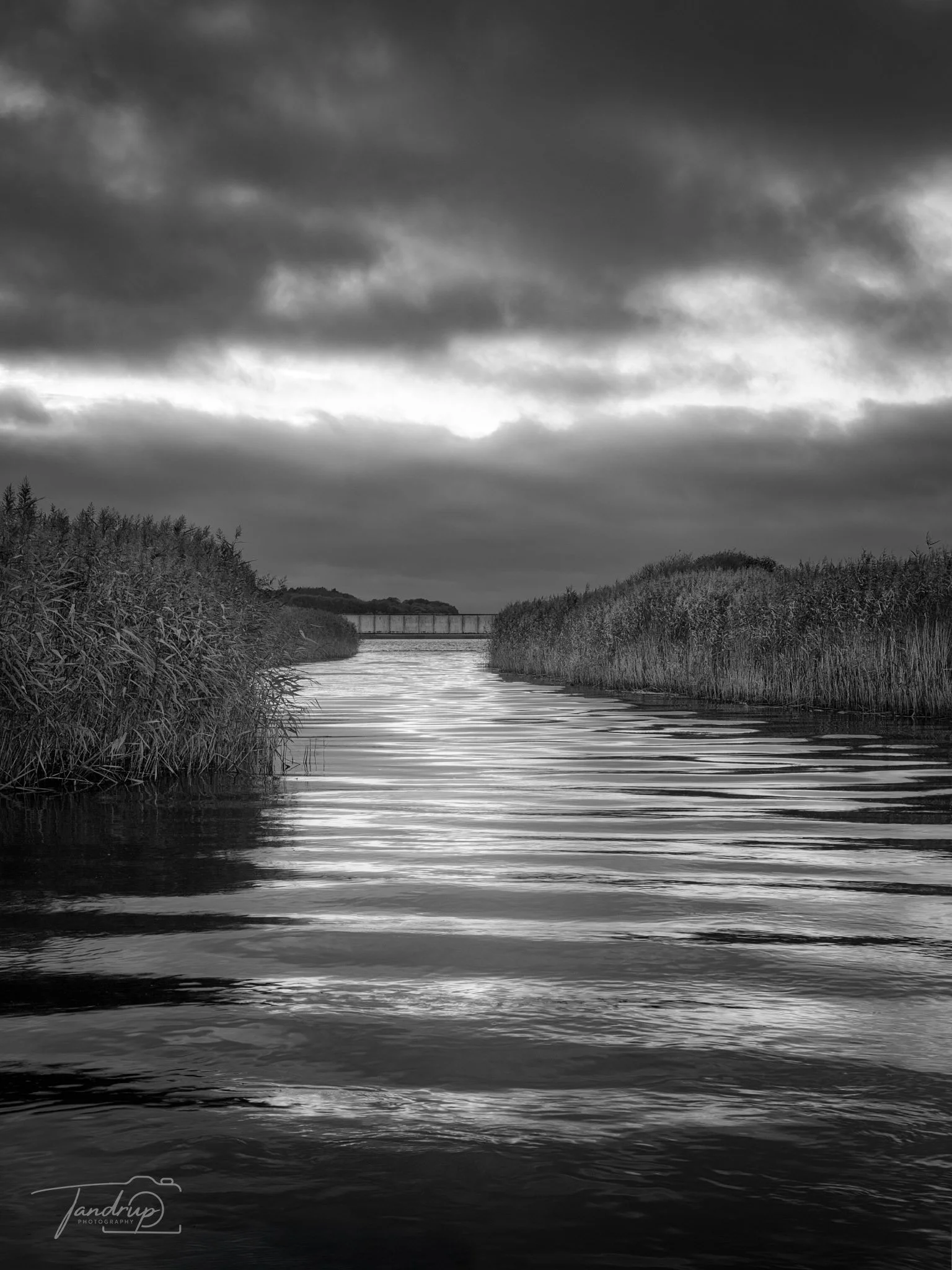 _DSF3402_Flickr  500px_1536x2048_H_100.jpg