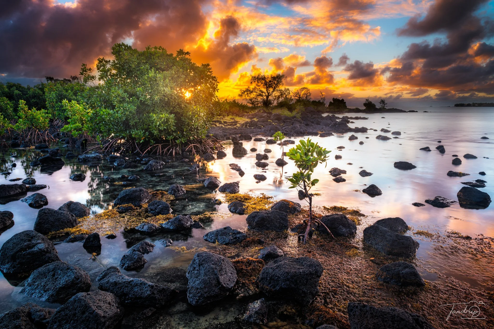 _DSF7415-Enhanced-NR-Edit_Flickr  500px_2048x1365_H_100.jpg