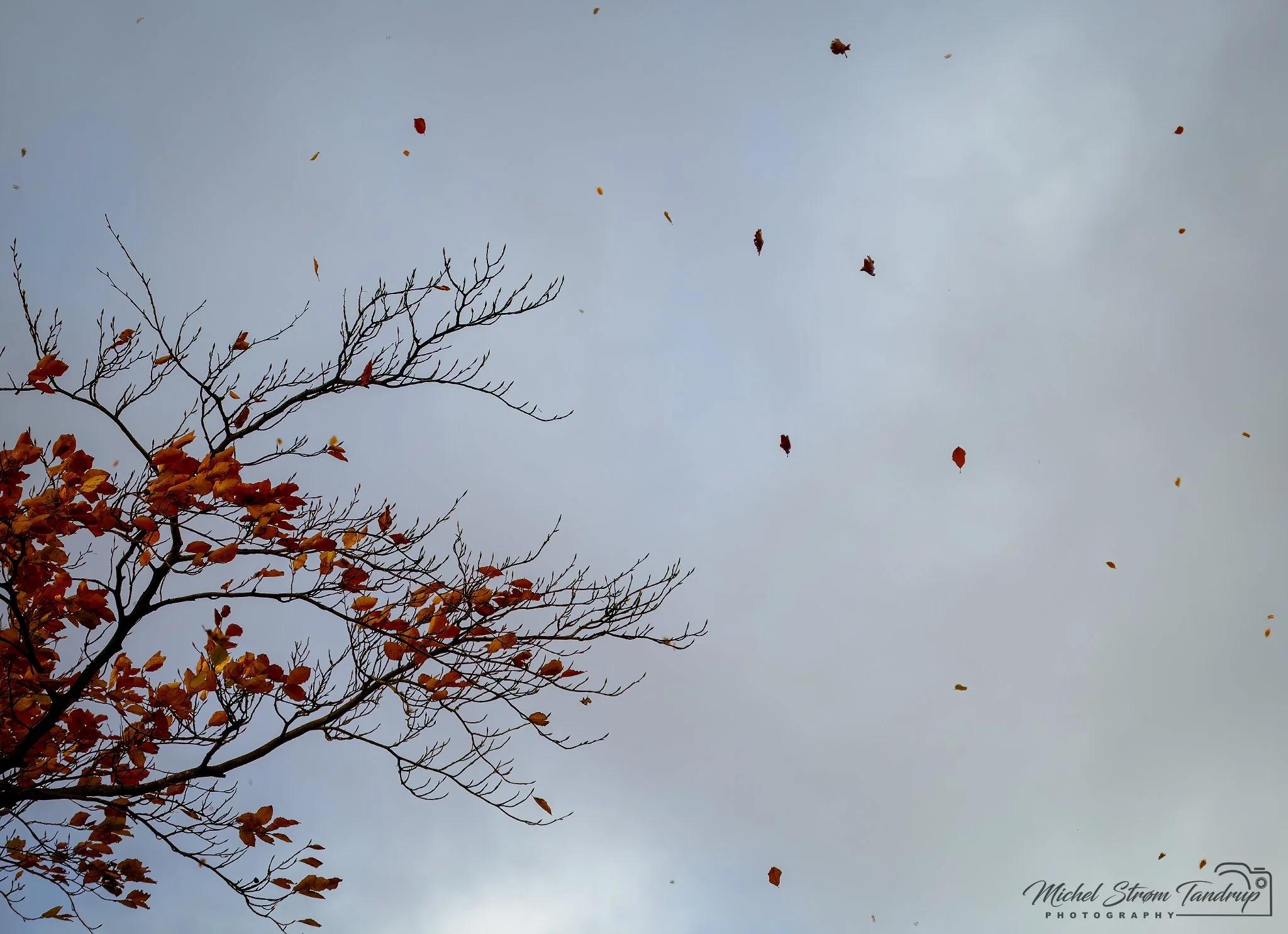 _DSF0151-Edit-Edit_2048 long edge_2048x1486_U_100.jpg