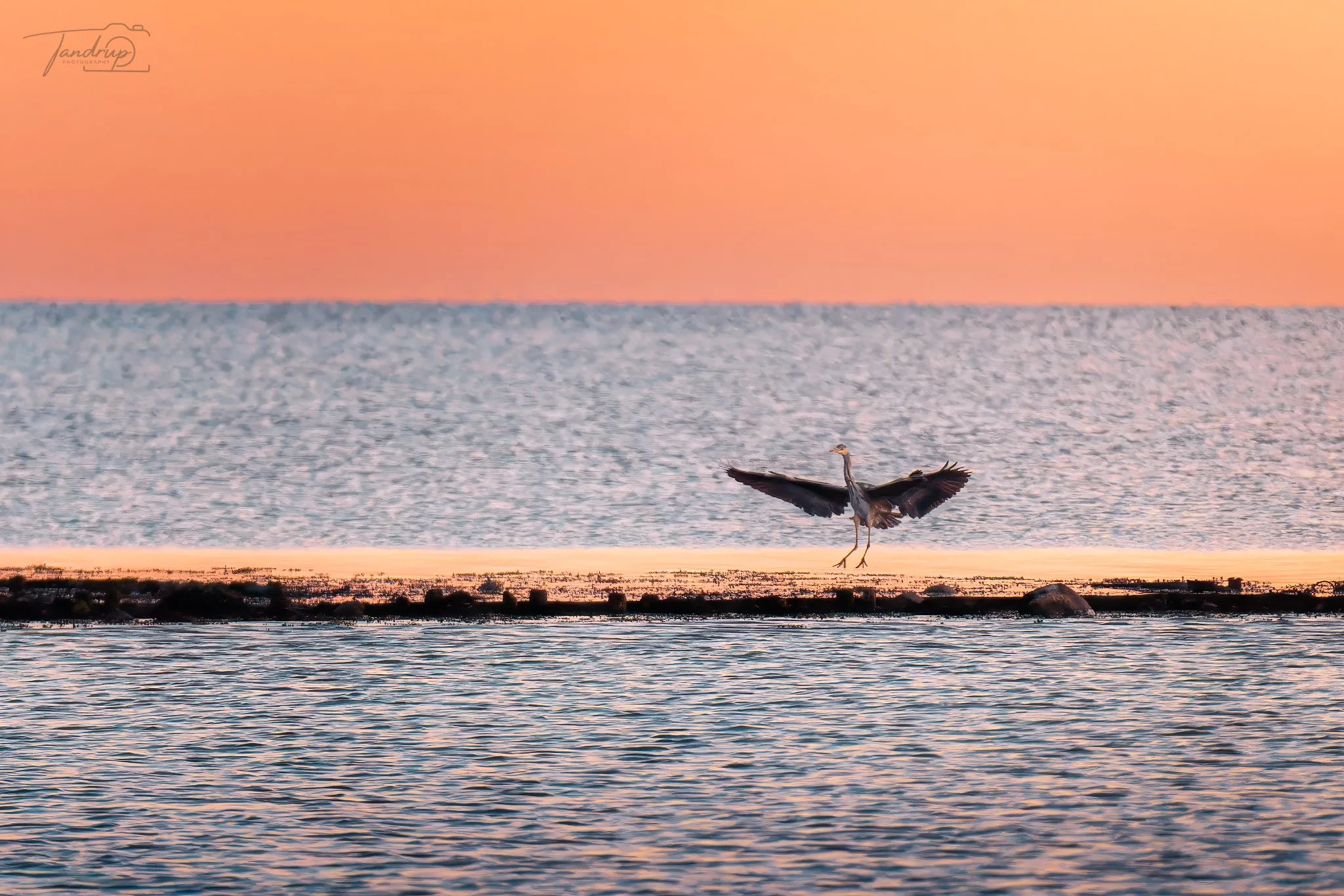 _DSF5056-20250405-DxO_DeepPRIME XD2s_2048x1366_H_100_Flickr  500px.jpg