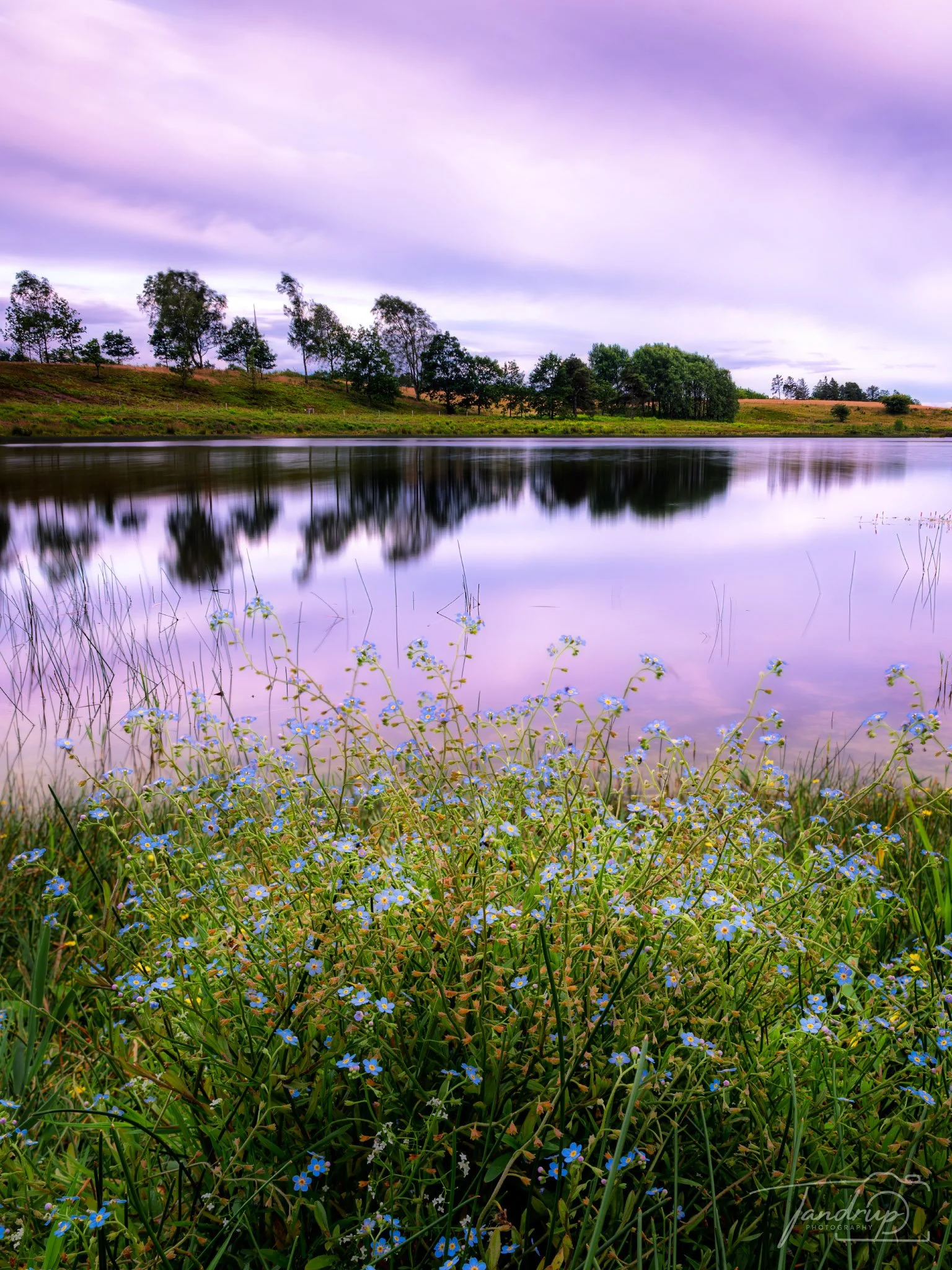 _DSF9288-Edit_Flickr  500px_1536x2048_H_100.jpg