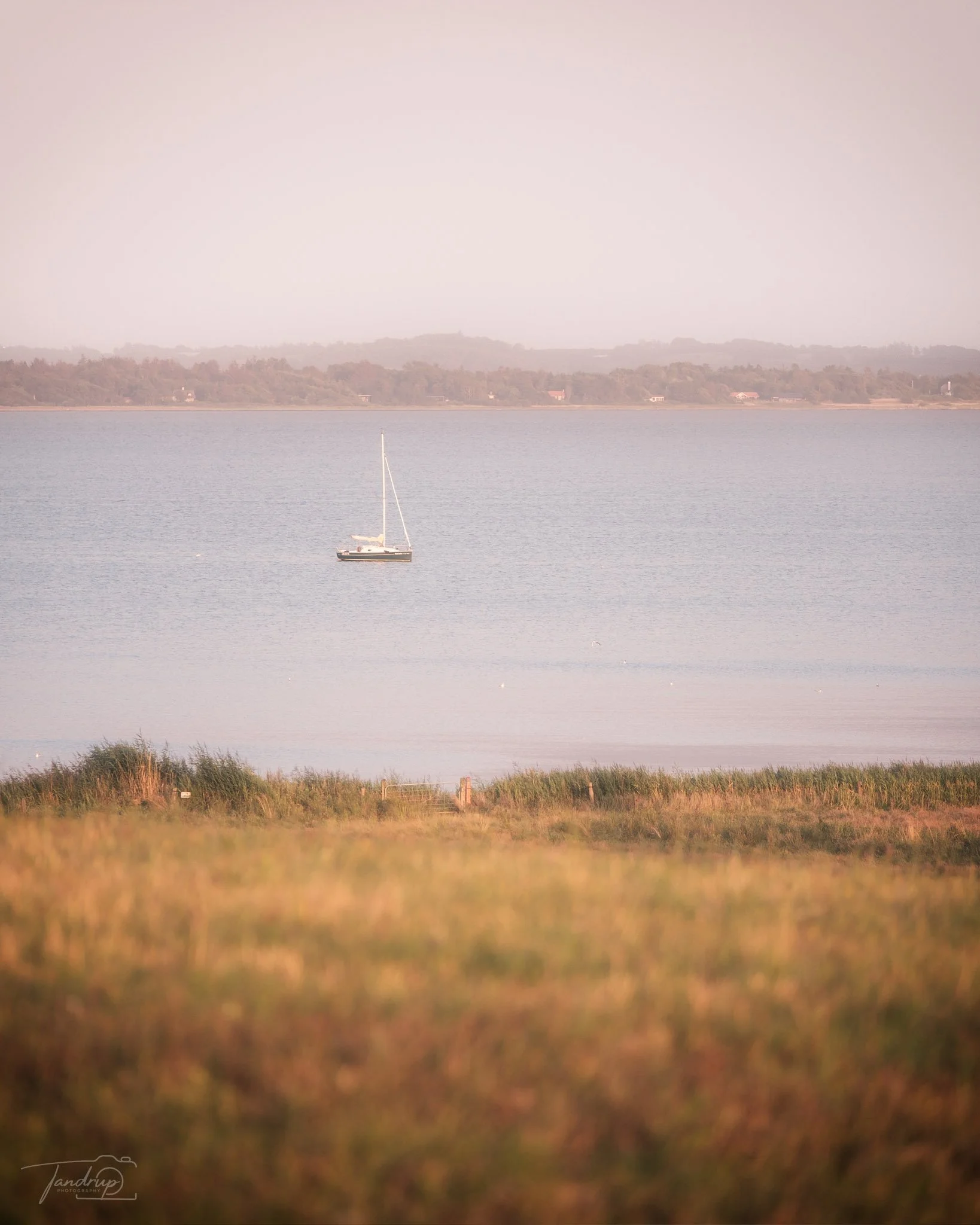 _DSF0045-Edit_Flickr  500px_1638x2048_H_100.jpg