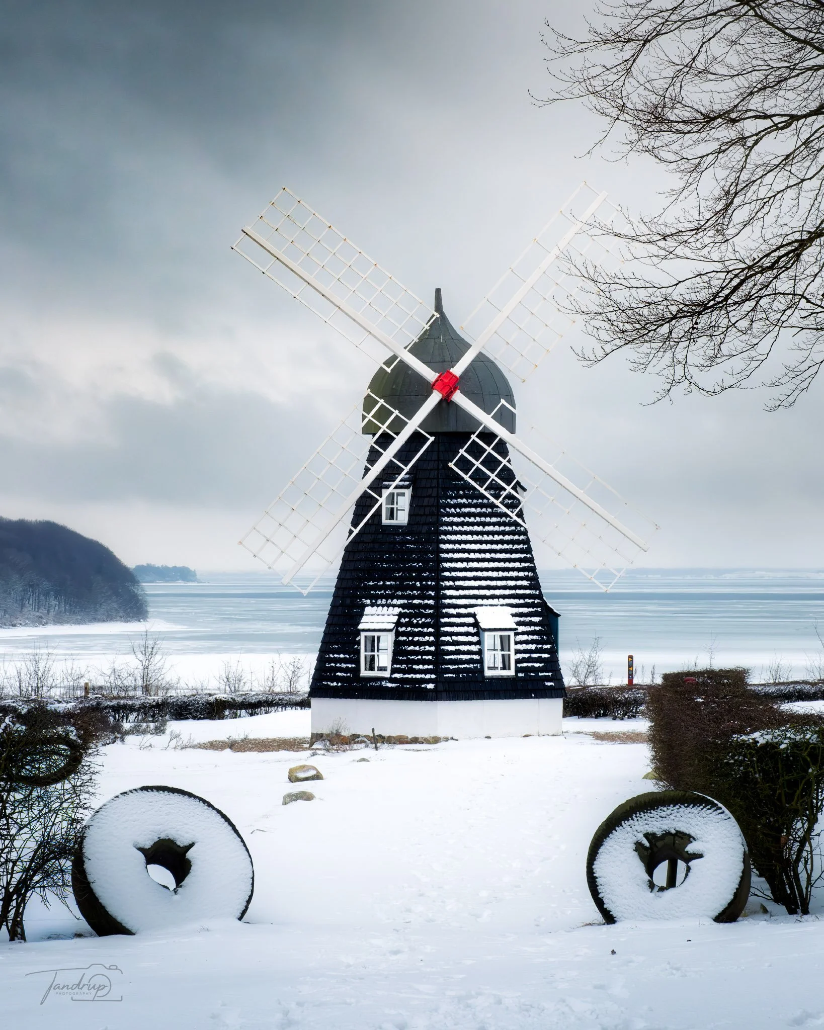 _DSF3731-Edit_Flickr  500px_1638x2048_H_100.jpg