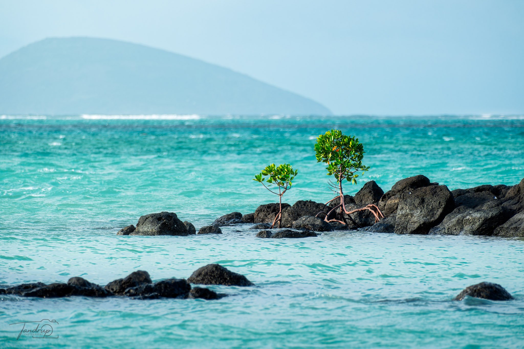 _DSF7284-20250601-DxO_DeepPRIME XD2s-Edit_2048x1365_H_100_Flickr  500px.jpg