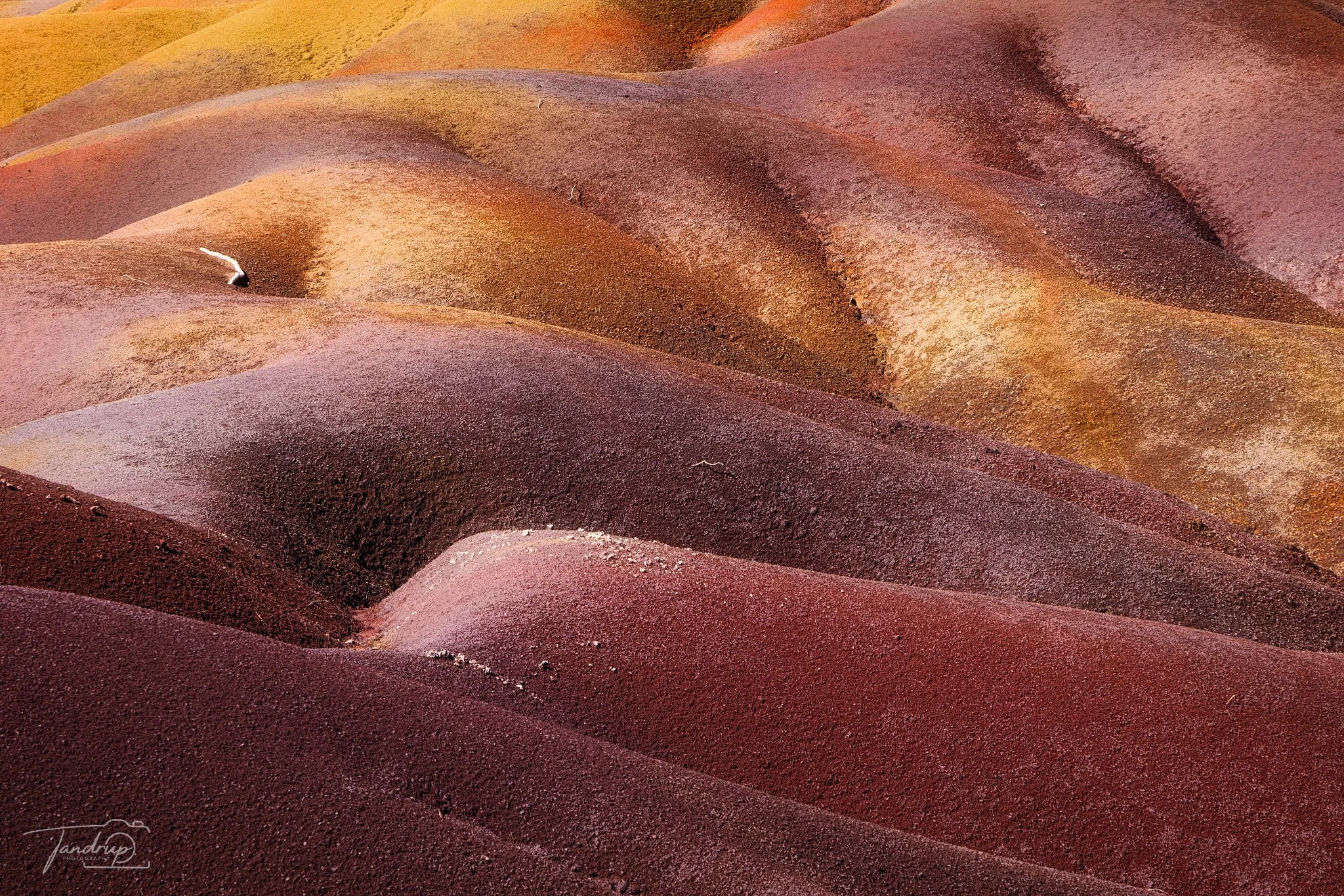 _DSF7206-20250531-DxO_DeepPRIME XD2s_Flickr  500px_2048x1365_H_100.jpg