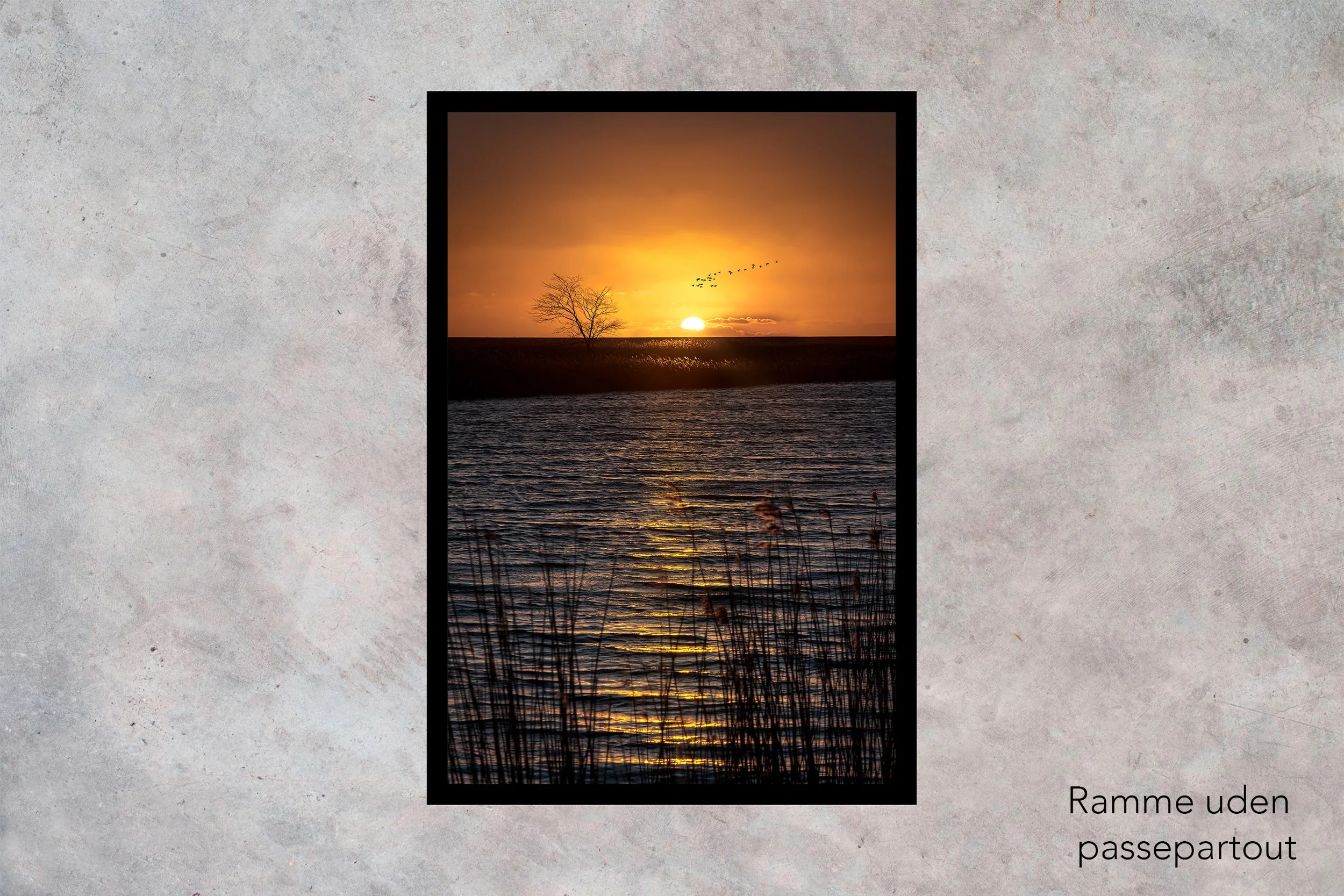 Træet ved Vidåen Ramme uden passepartout