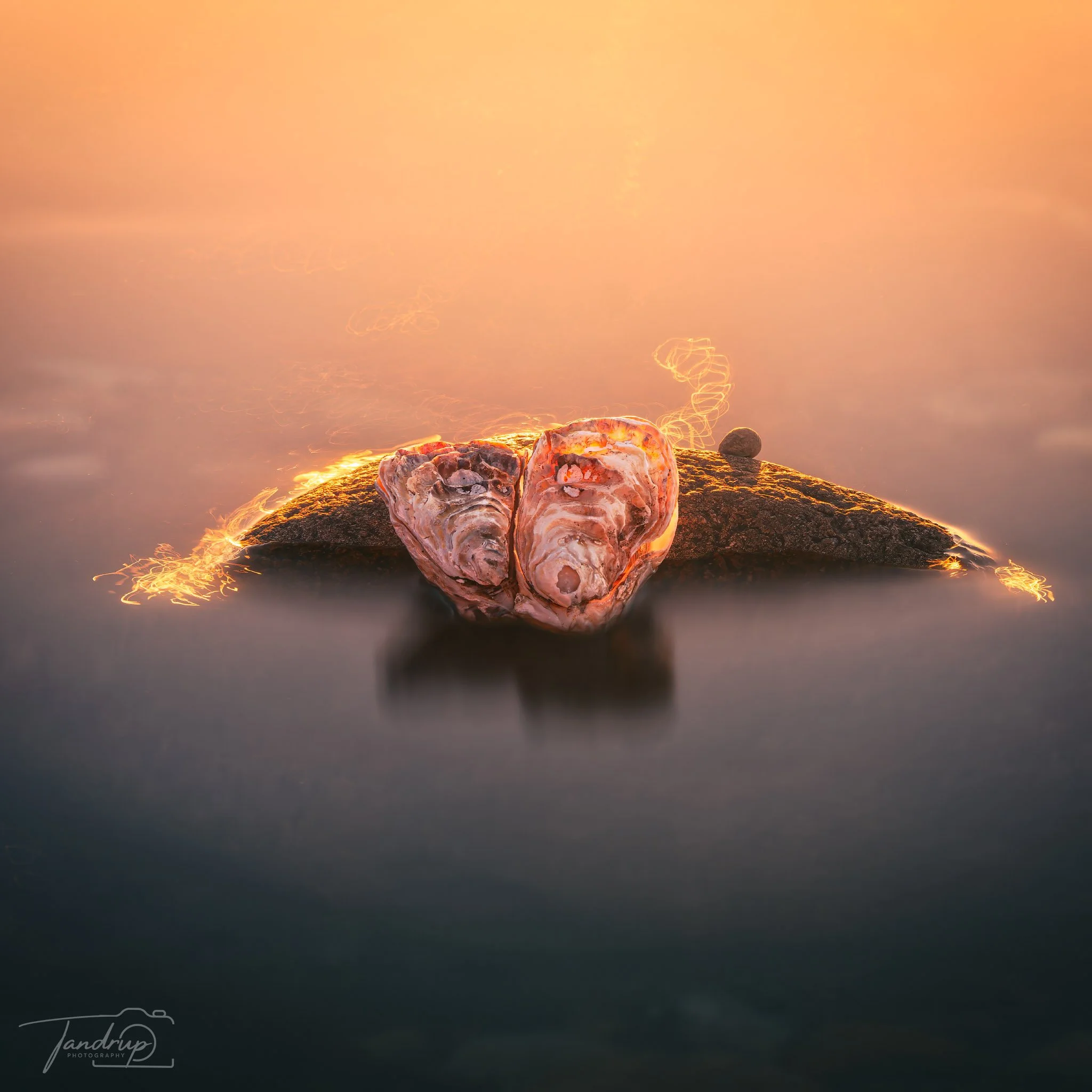 _DSF5220-20250414-DxO_DeepPRIME XD2s-Edit_2048x2048_H_100_Flickr  500px.jpg