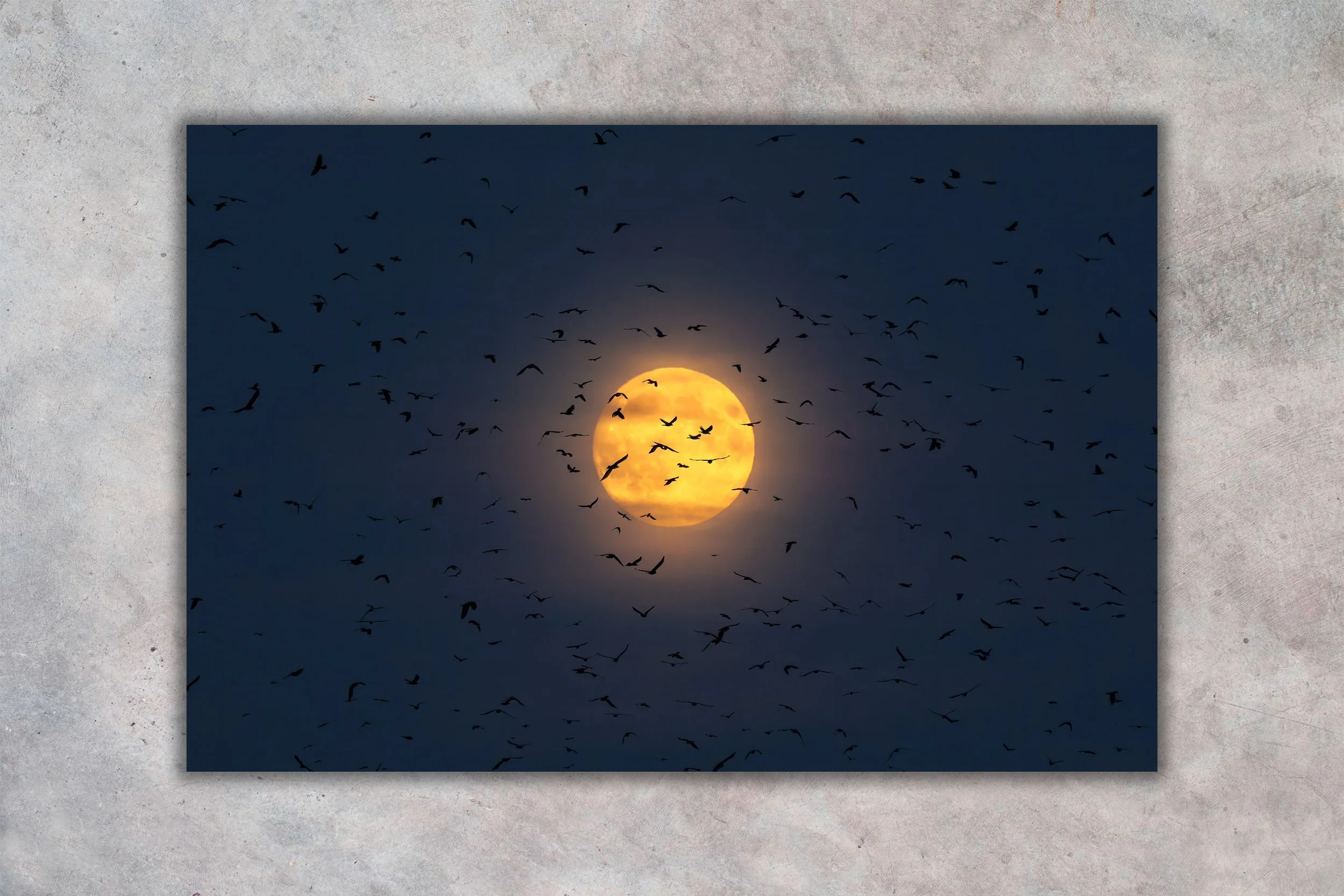 Supermåne og Råger