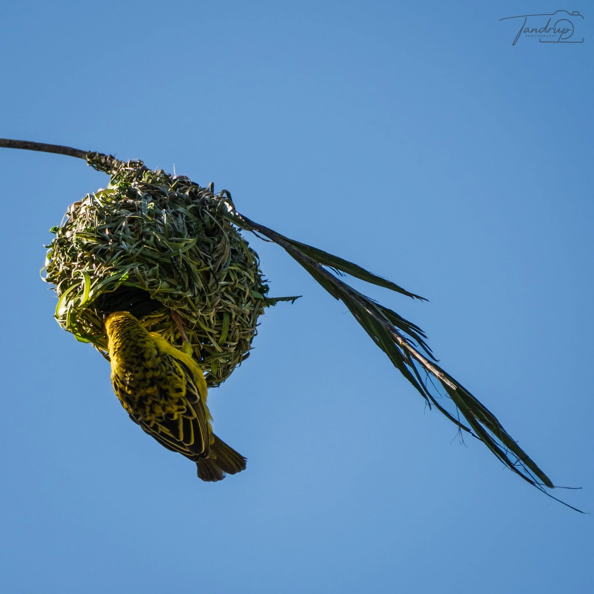 _DSF6905_2048x2048_H_100_Flickr  500px.jpg