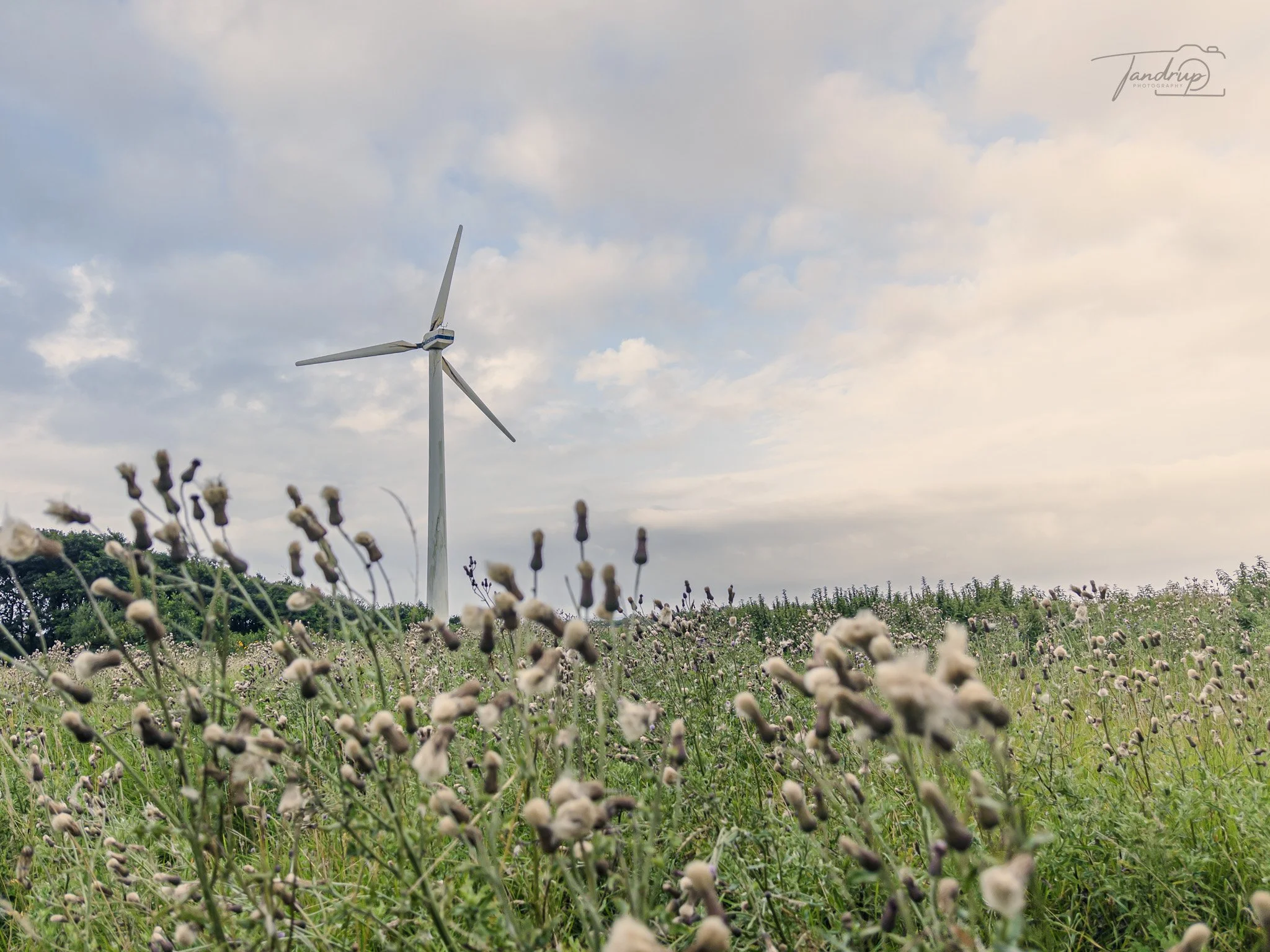 Højskole fotokursus - på Vestjyllands Højskole