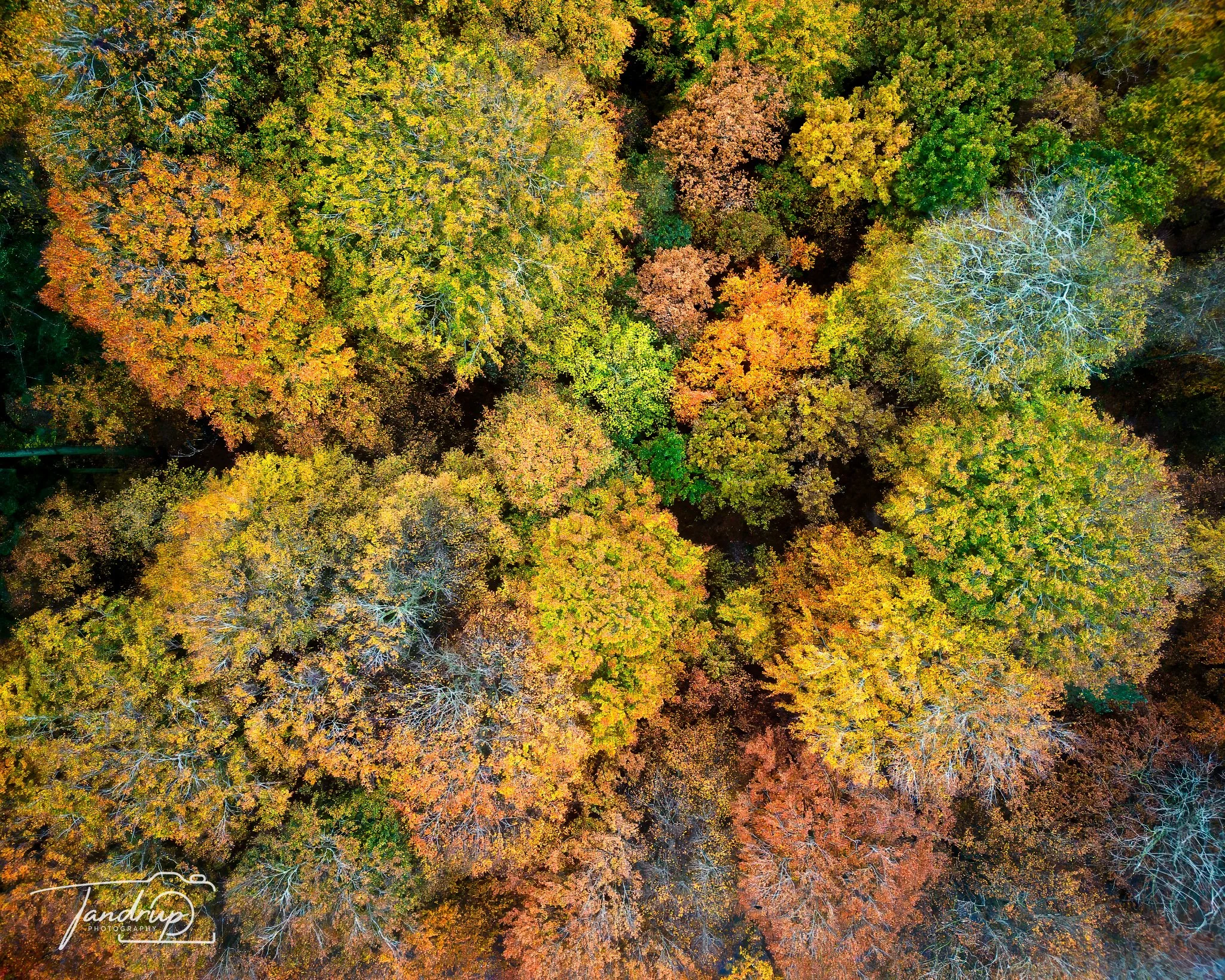 Se det hele lidt fra oven