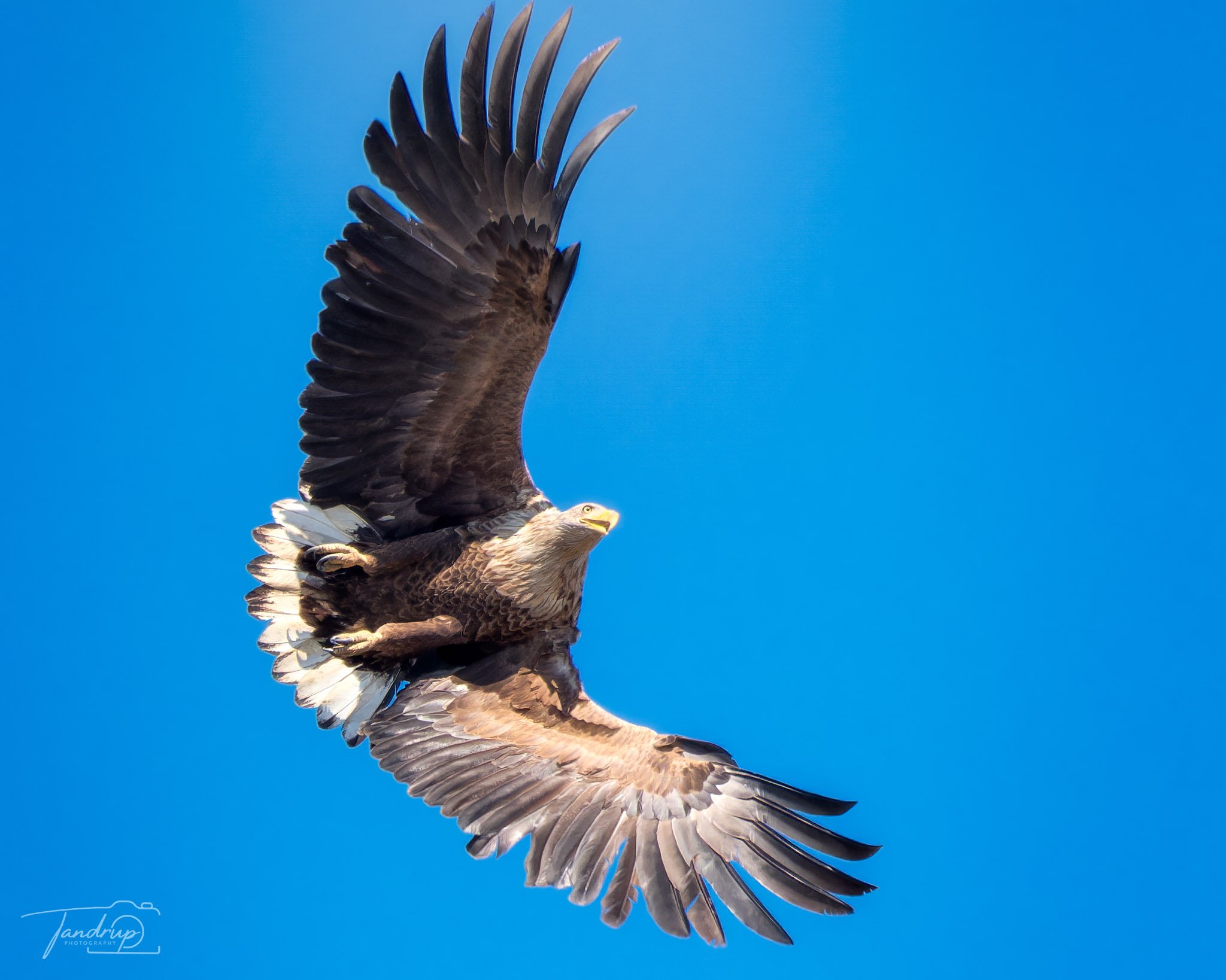 _DSF4540-20250405-DxO_DeepPRIME XD2s-Edit_2048x1638_H_100_Flickr  500px.jpg