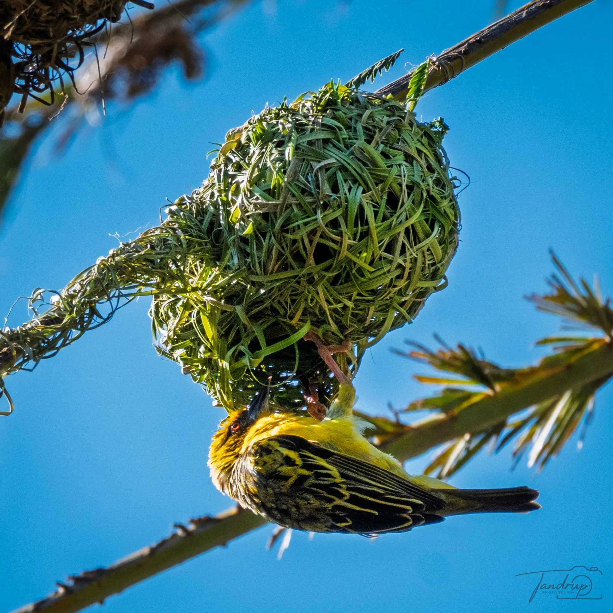 _DSF6897_2048x2048_H_100_Flickr  500px.jpg