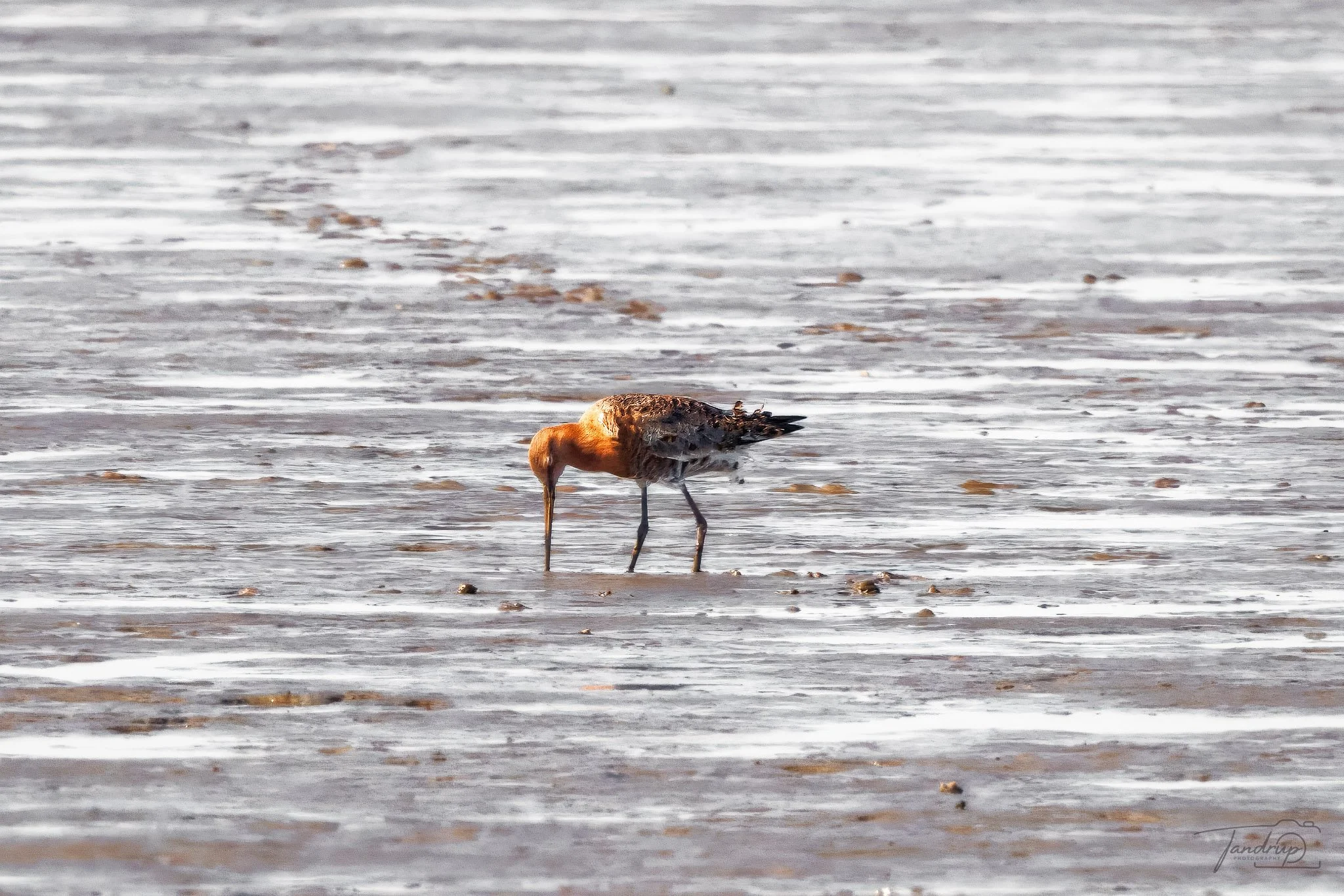 _DSF4421-Edit_2048x1366_H_100_Flickr  500px.jpg