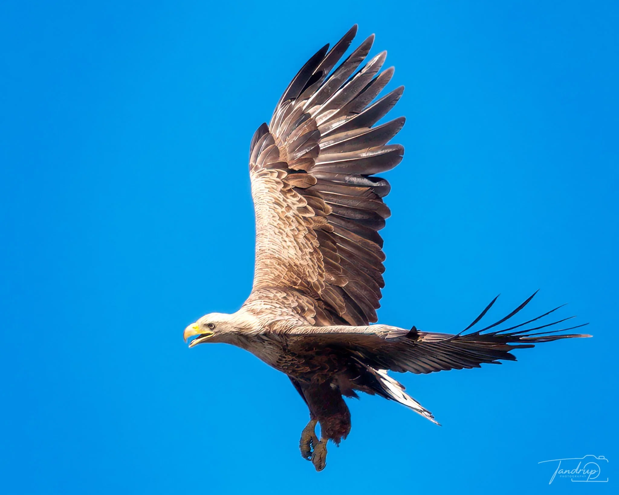 _DSF4533-20250405-DxO_DeepPRIME XD2s-Edit_2048x1639_H_100_Flickr  500px.jpg