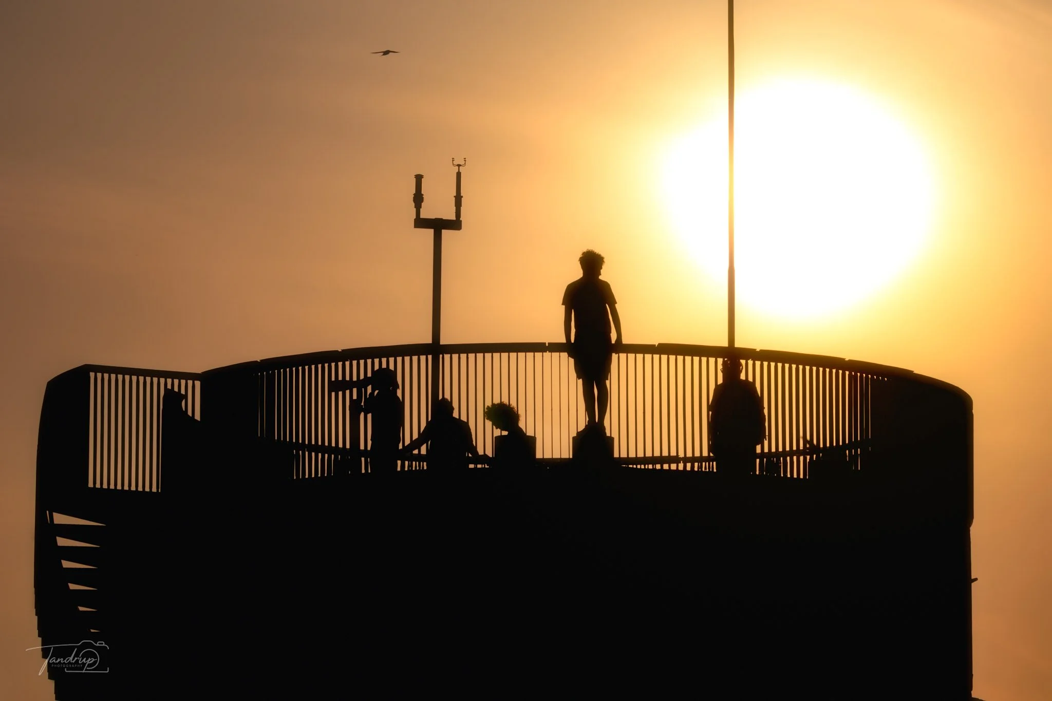 _DSF1317_Flickr  500px_2048x1365_H_100.jpg