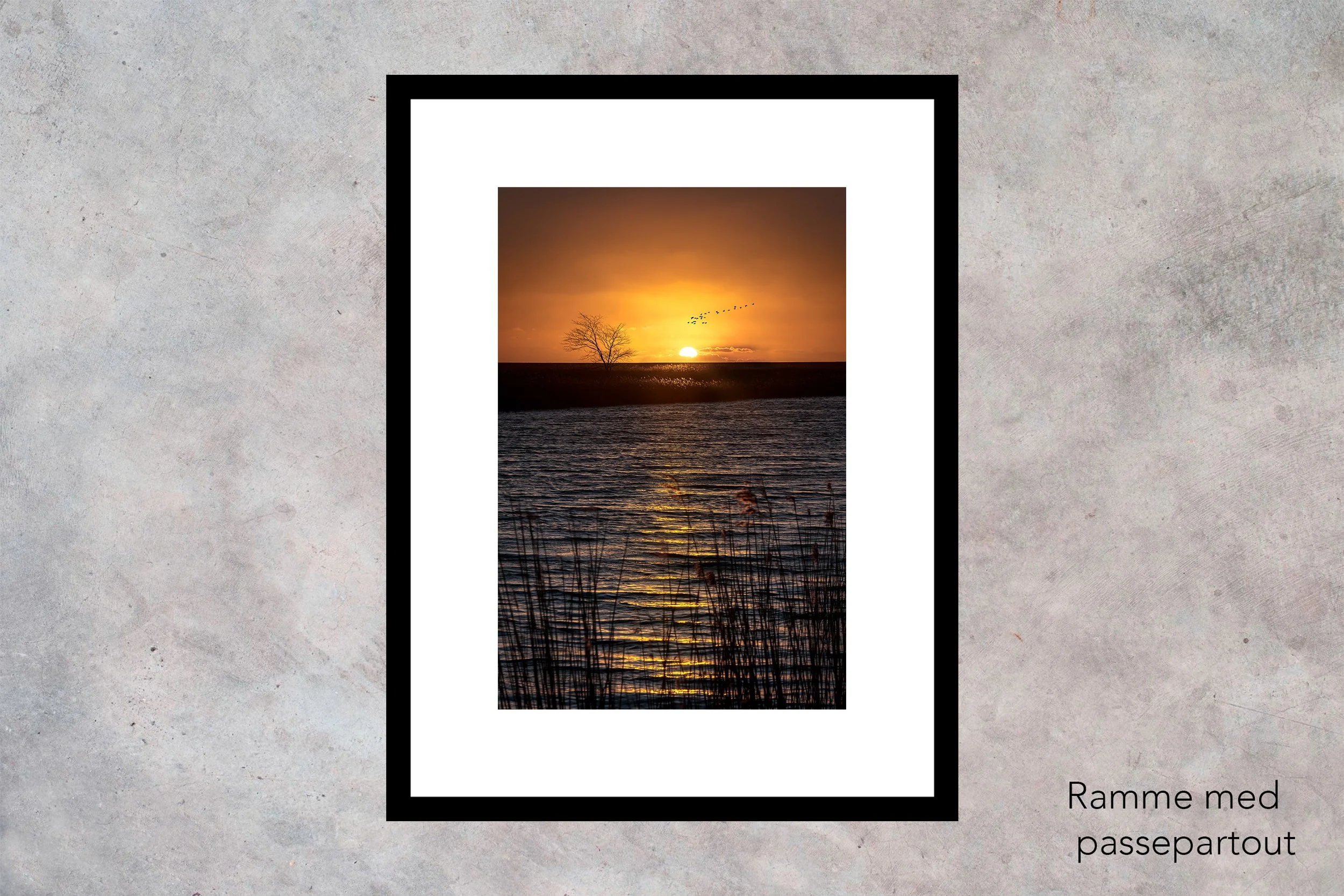 Træet ved Vidåen Ramme med passepartout