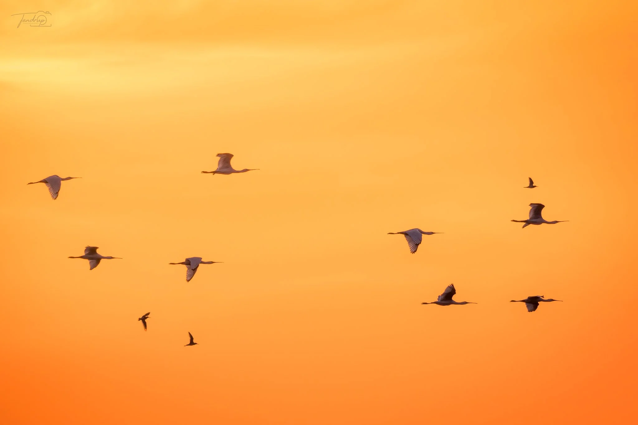 _DSF1891-Edit_Flickr  500px_2048x1365_H_100.jpg