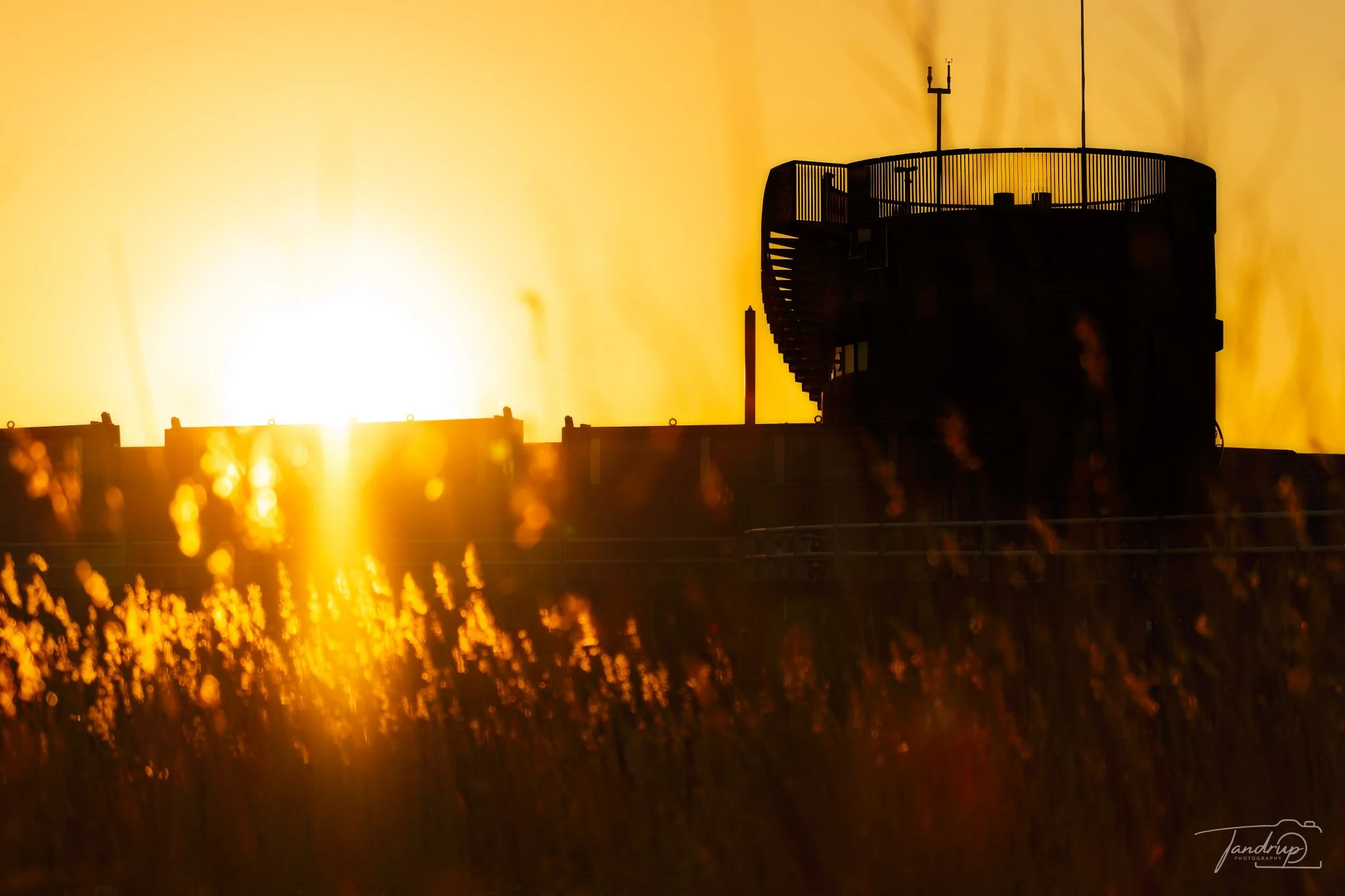 _DSF4922-20250405-DxO_DeepPRIME XD2s_2048x1365_H_100_Flickr  500px.jpg