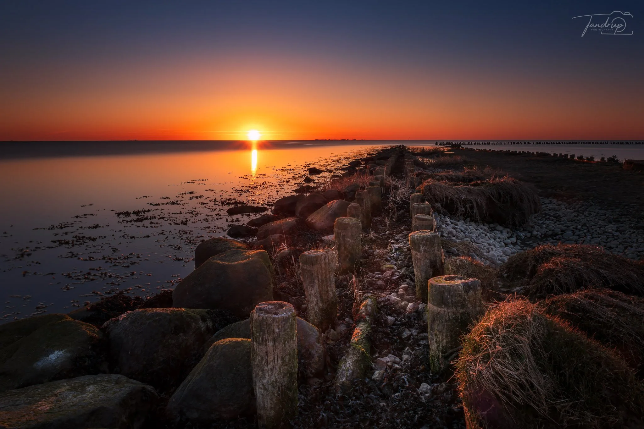 _DSF4943-20250405-DxO_DeepPRIME XD2s-Edit_2048x1365_H_100_Flickr  500px.jpg