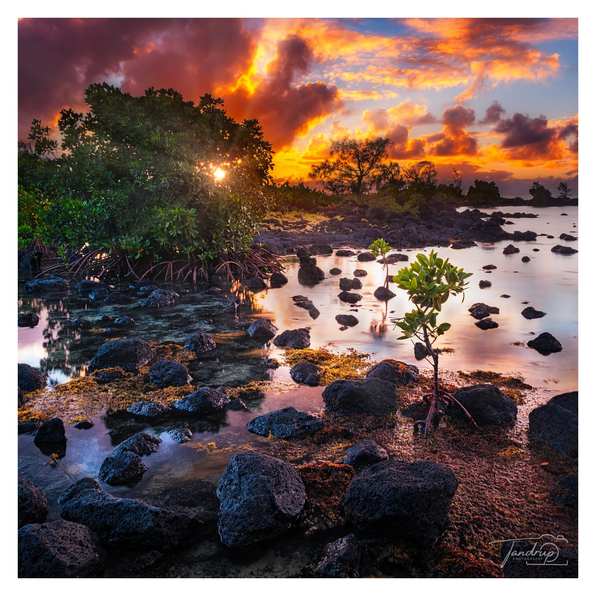 _DSF7416-Enhanced-NR-Edit_Flickr  500px_2048x2048_H_100.jpg