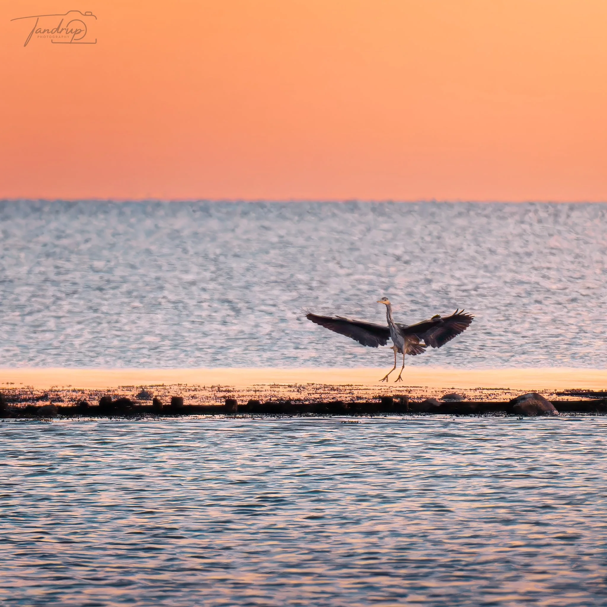 _DSF5056-20250405-DxO_DeepPRIME XD2s-Edit_2048x2048_H_100_Flickr  500px.jpg