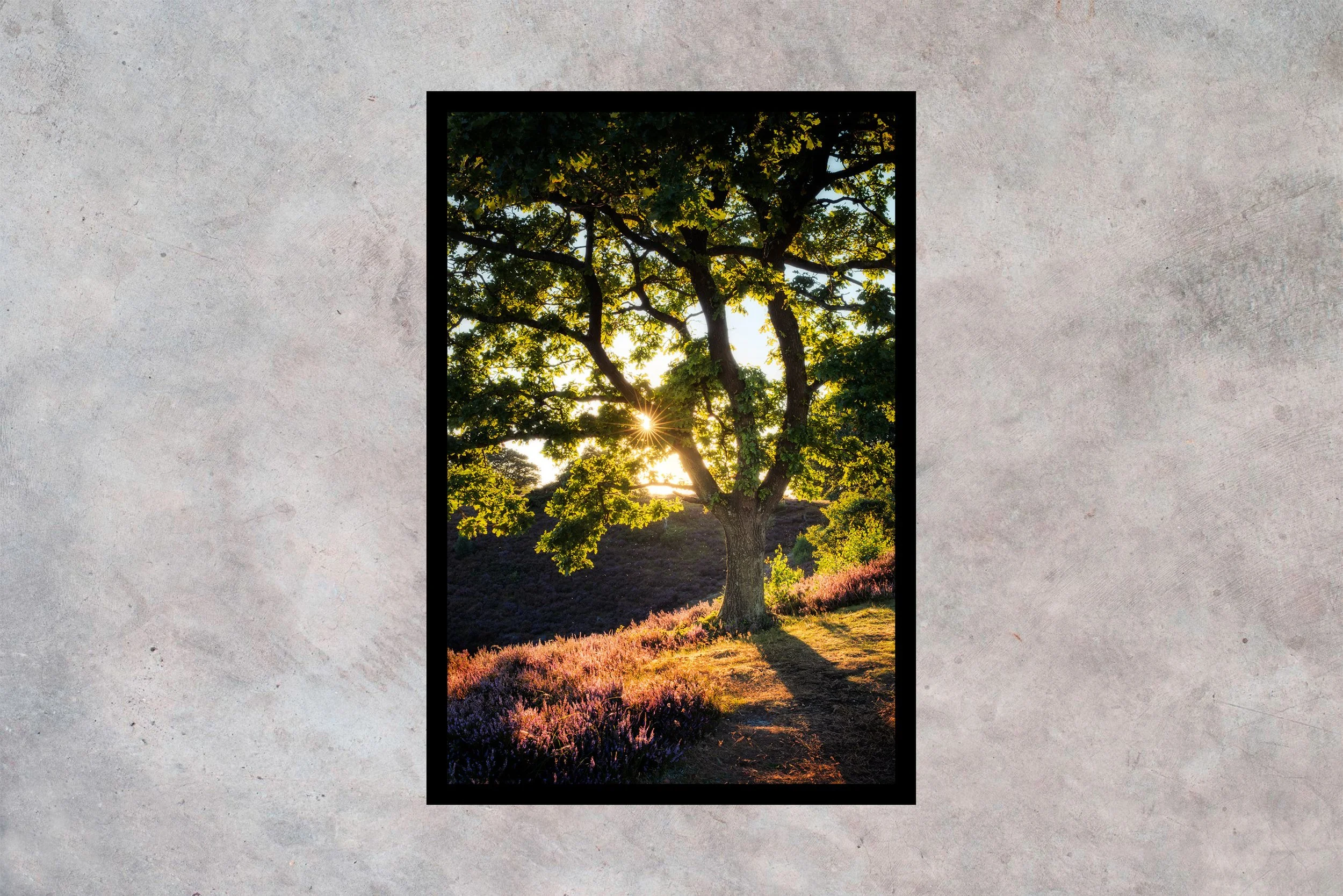 Solnedgang ved Dollerup Bakker Ramme u passepartout 2-3 Vertikal.jpg