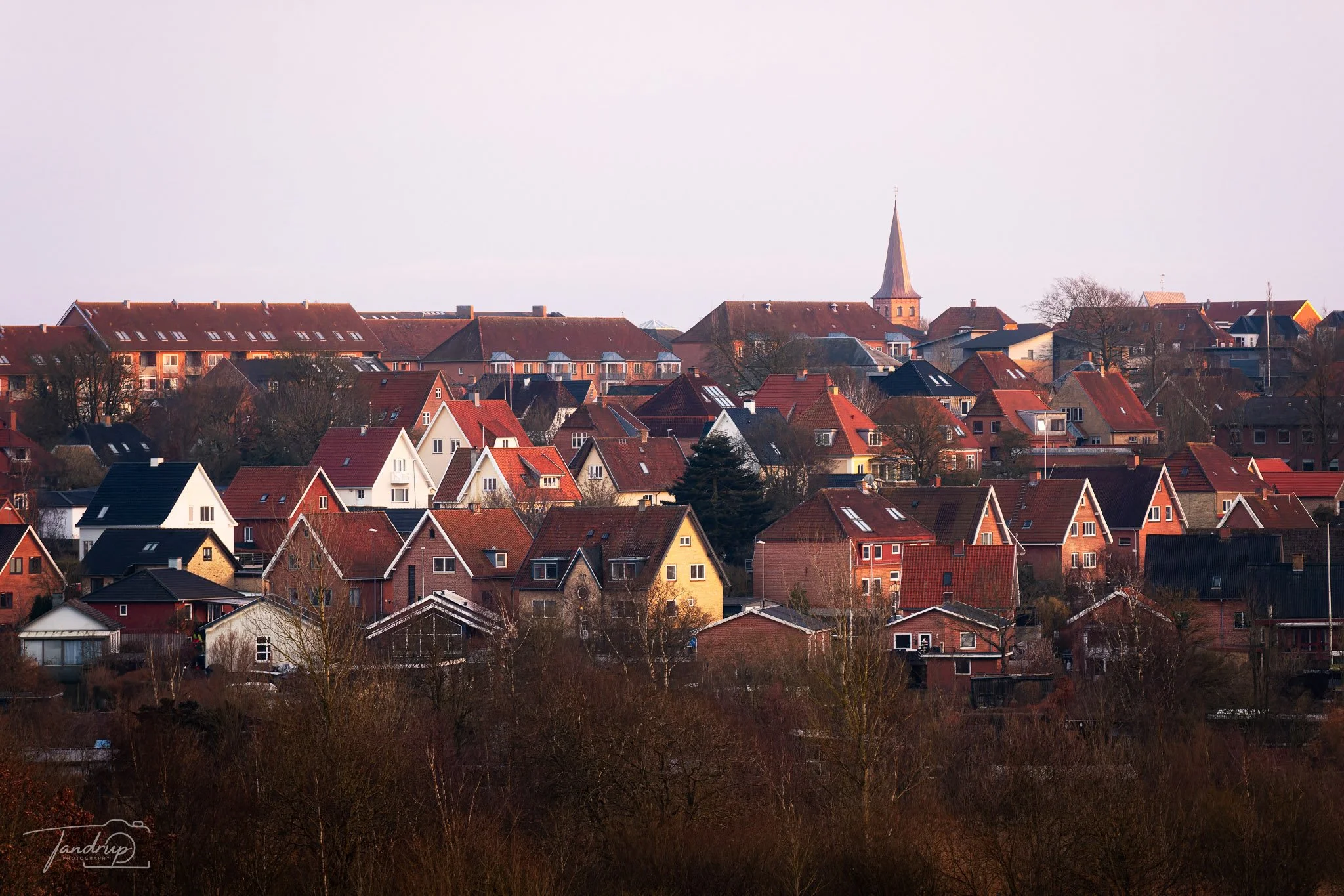 _DSF1949-20250227-DxO_DeepPRIME XD2s-Edit_2048x1365_H_100_Flickr  500px.jpg