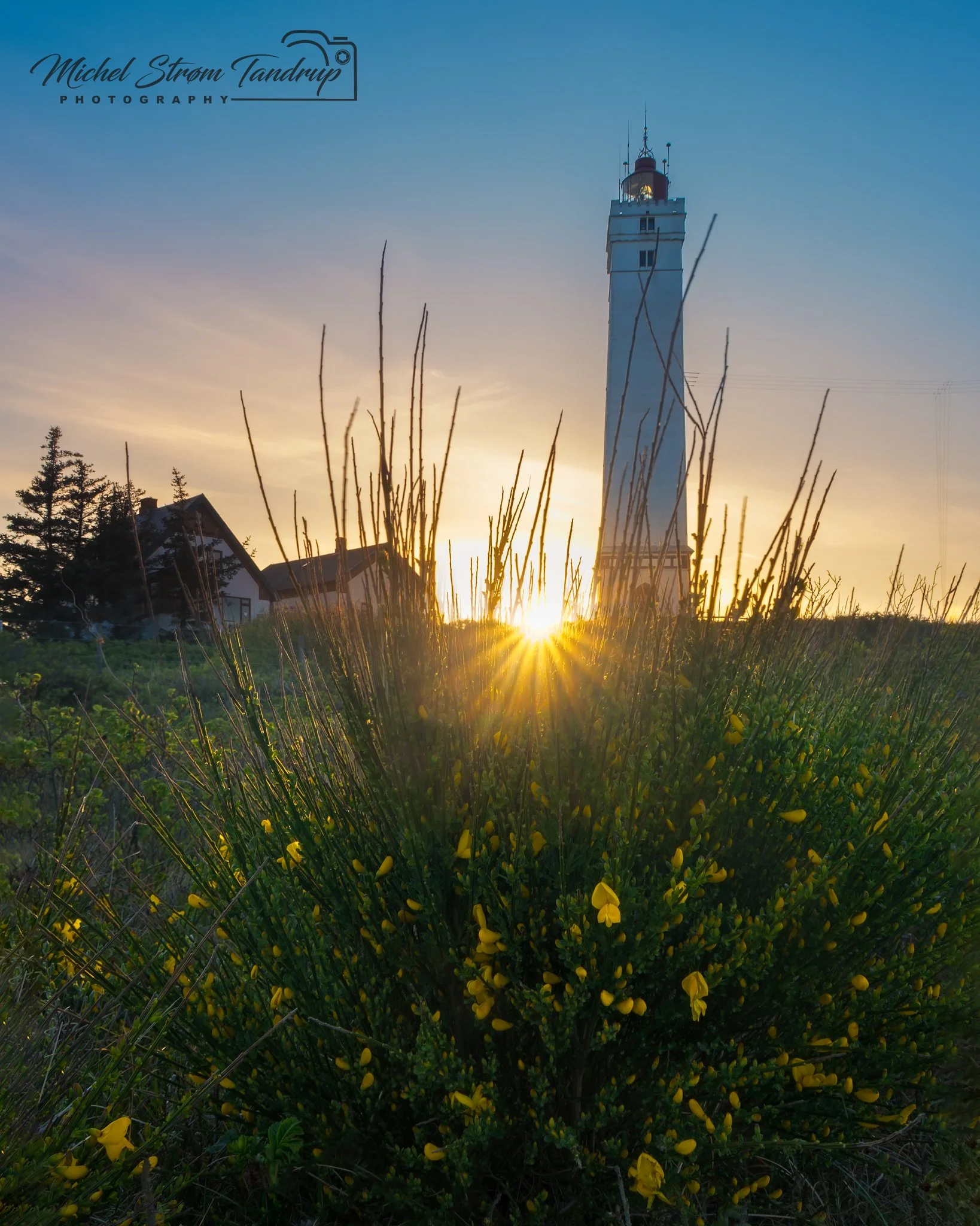 _DSF2004-RAF_DxO_DeepPRIME-Edit_1638x2048_U_100_Flickr  500px.jpg