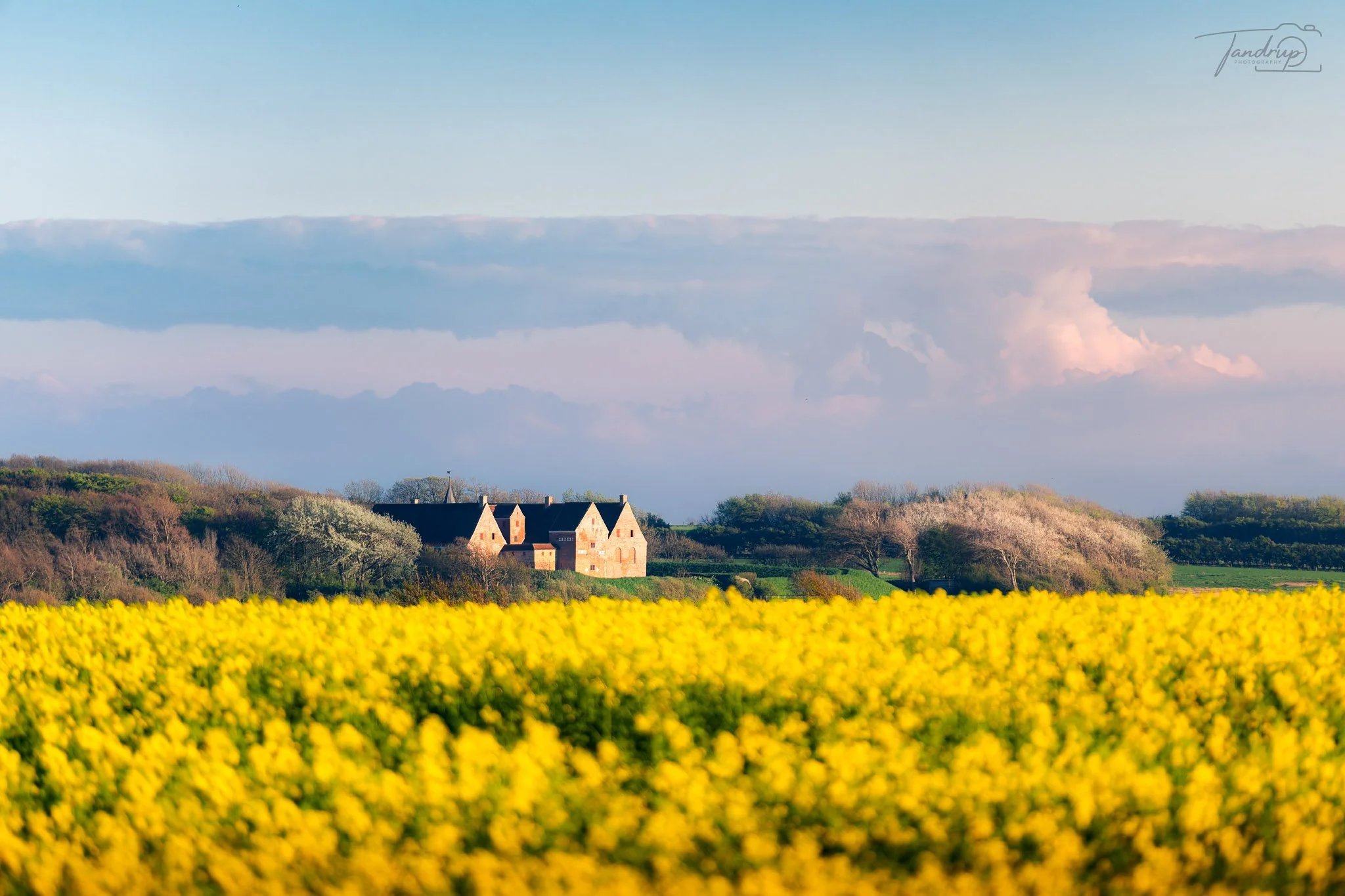 _DSF5295-20250424-DxO_DeepPRIME XD2s-Edit_2048x1365_H_100_Flickr  500px.jpg