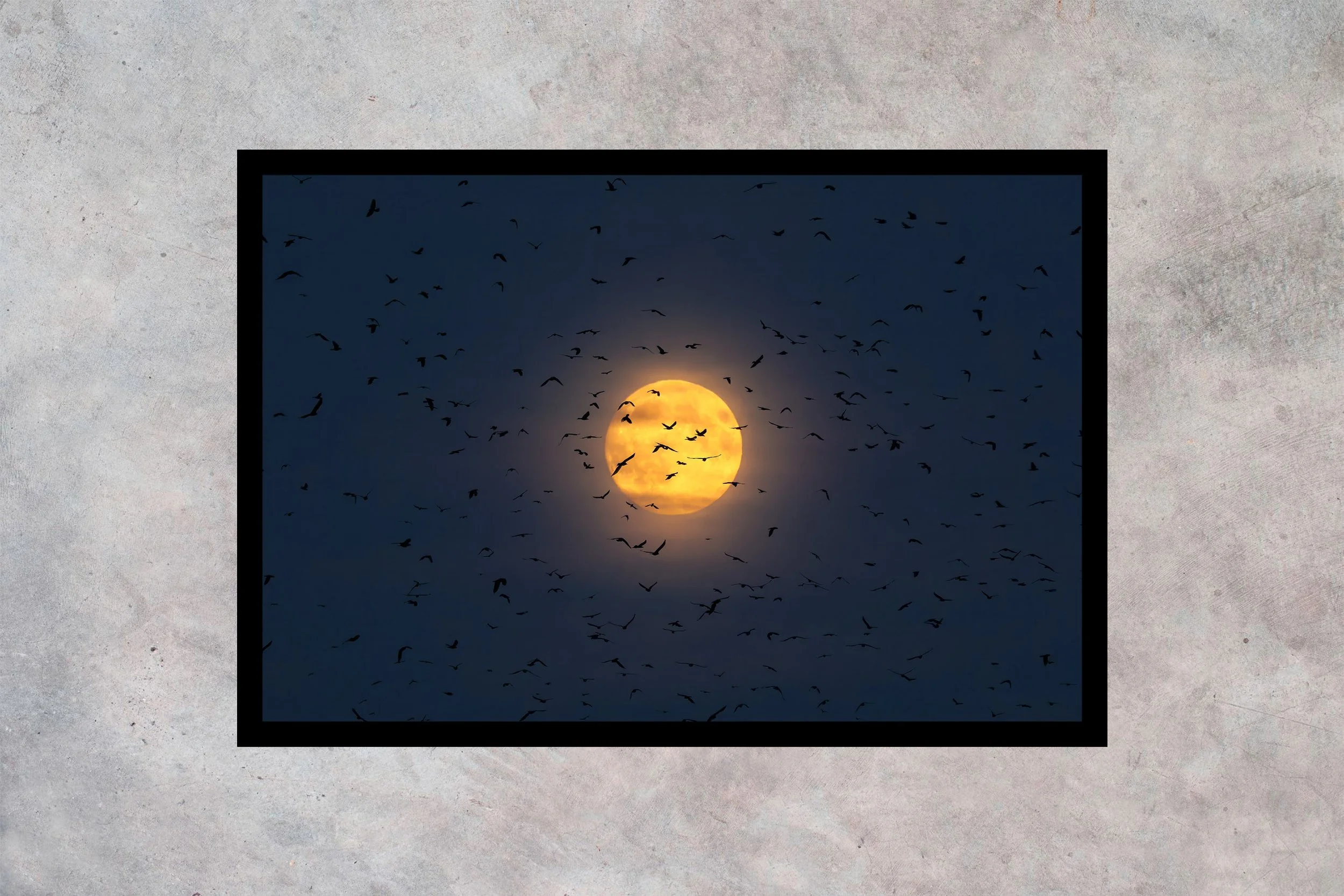 Supermåne og Råger