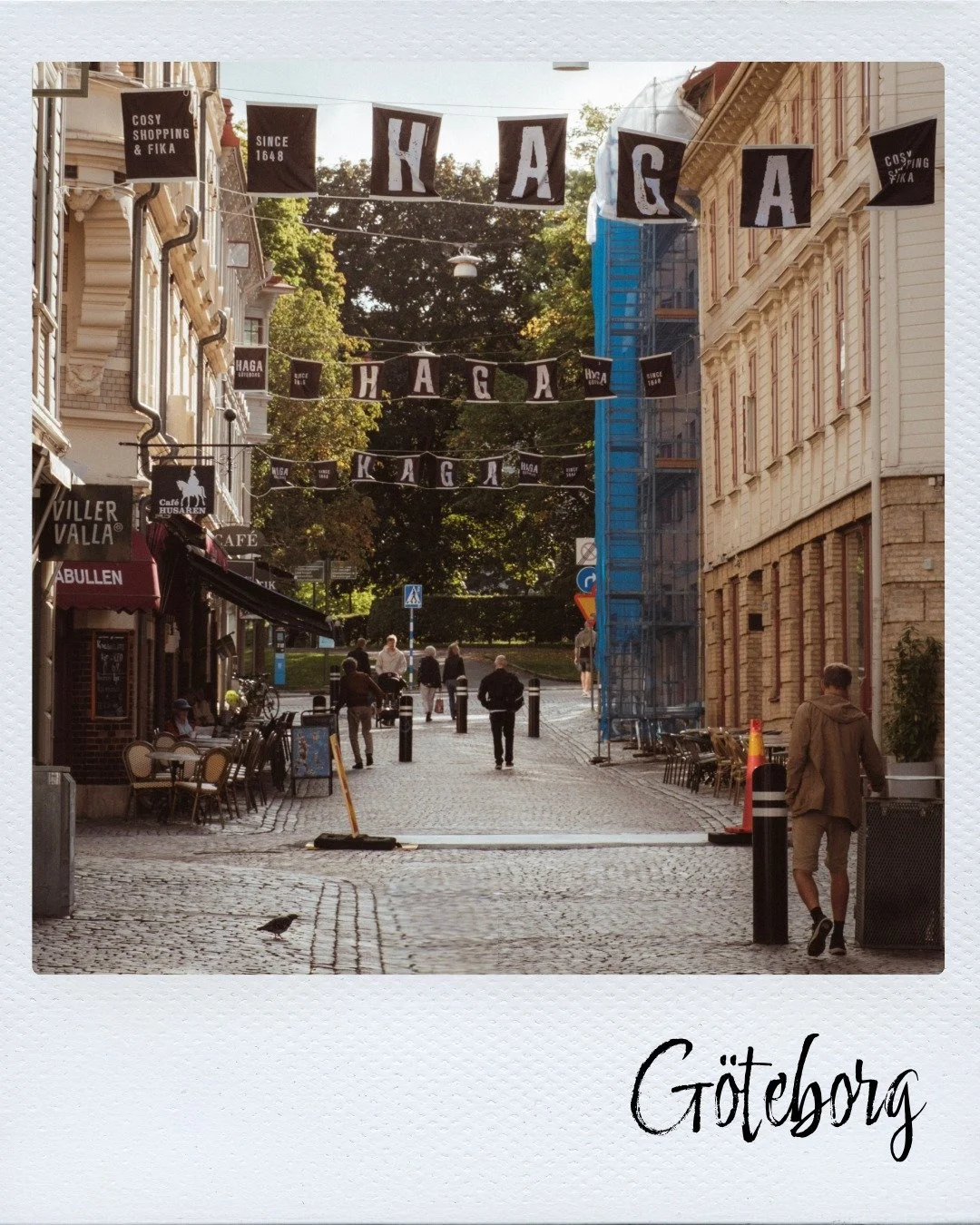 Haga hovedgade i Göteborg.jpeg
