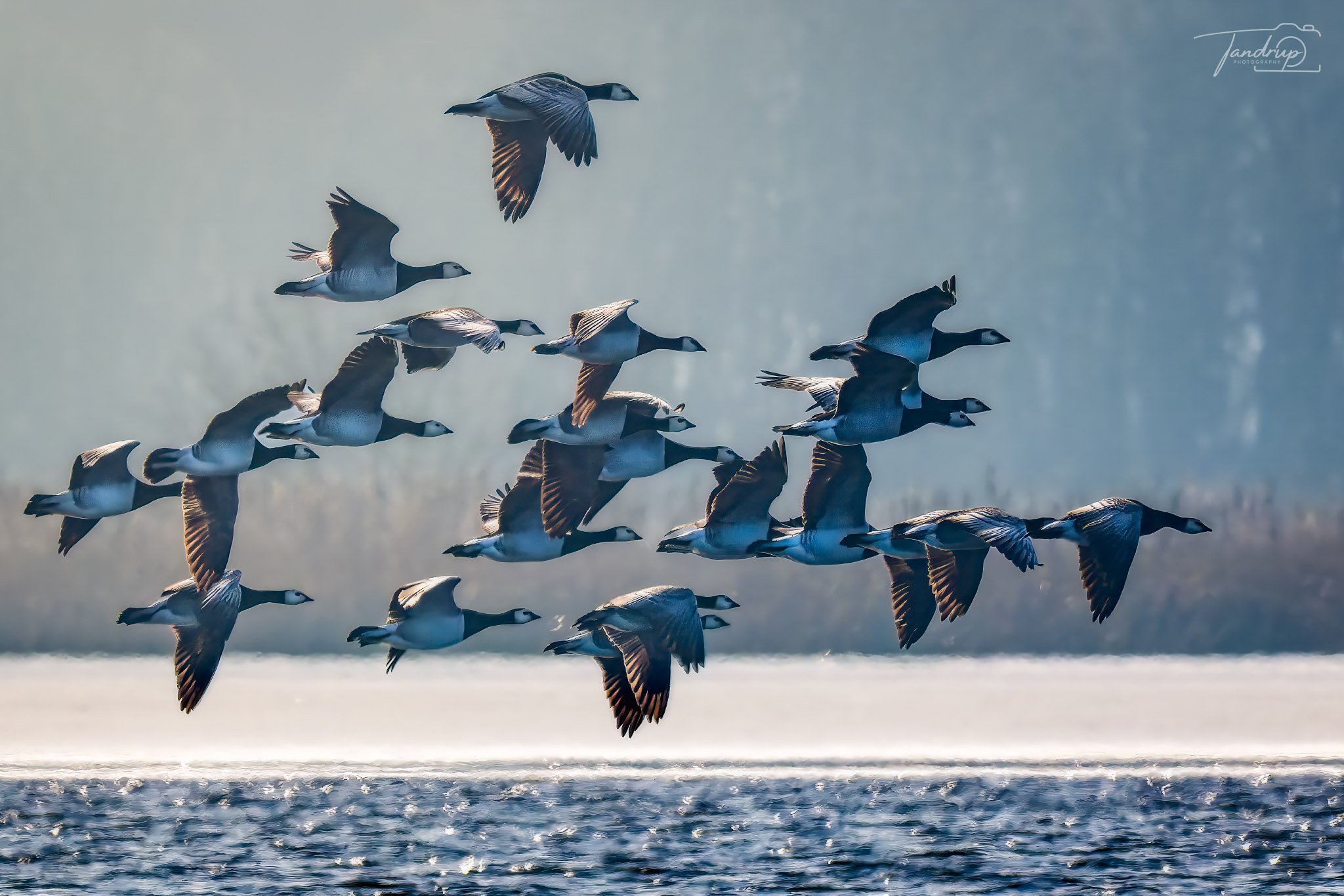 _DSF1835-20250223-DxO_DeepPRIME XD2s-2-Edit_2048x1366_H_100_Flickr  500px.jpg