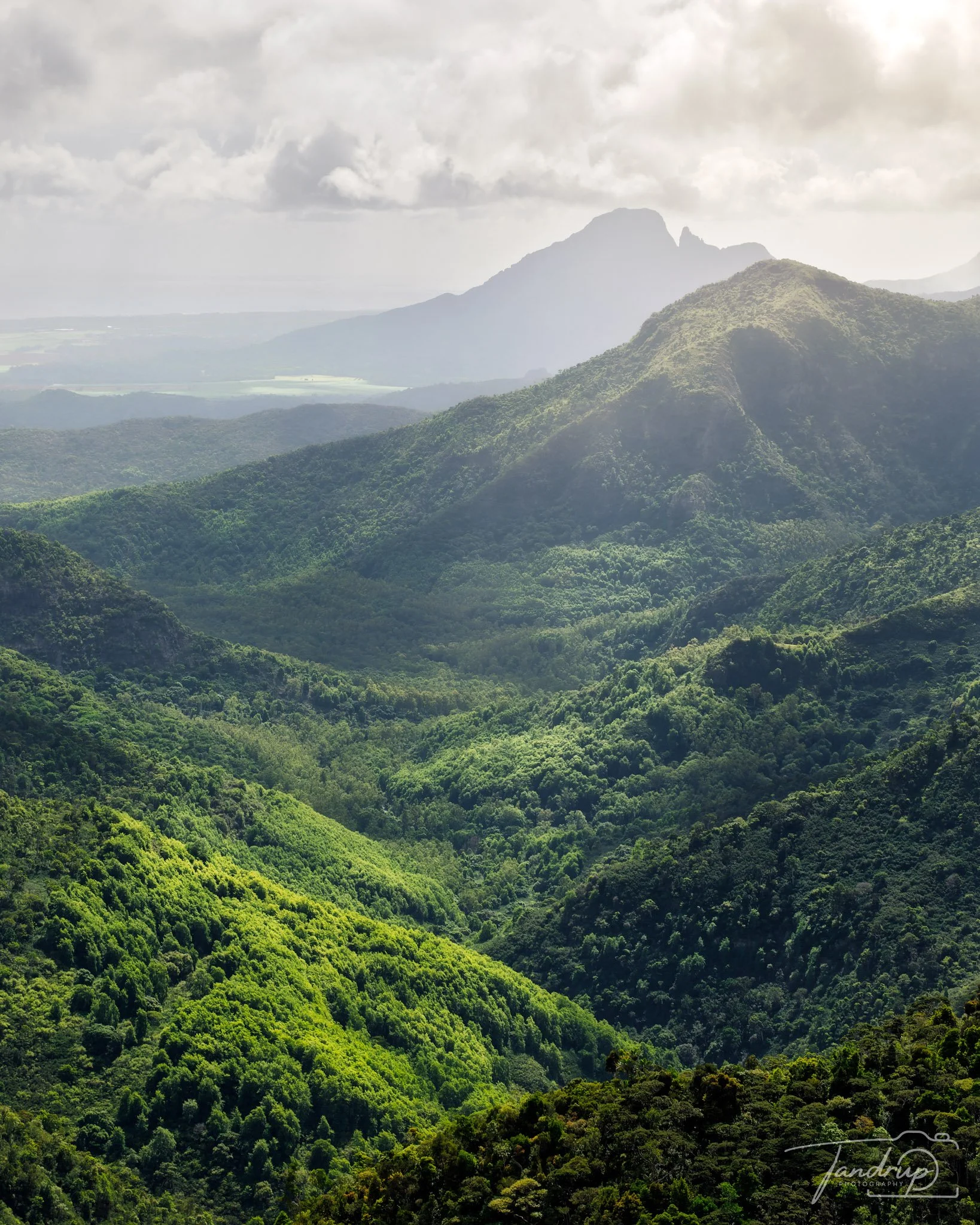 _DSF7150-20250531-DxO_DeepPRIME XD2s-Edit_Flickr  500px_1638x2048_H_100.jpg