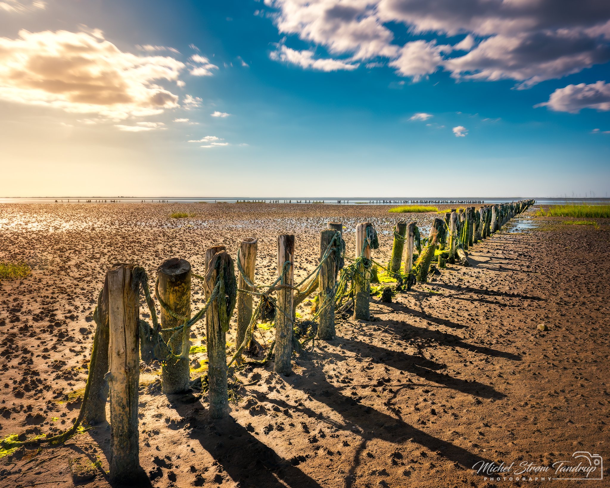 _DSF0701-RAF_DxO_DeepPRIME-Edit_2048 long edge_2048x1638_U_100.jpg